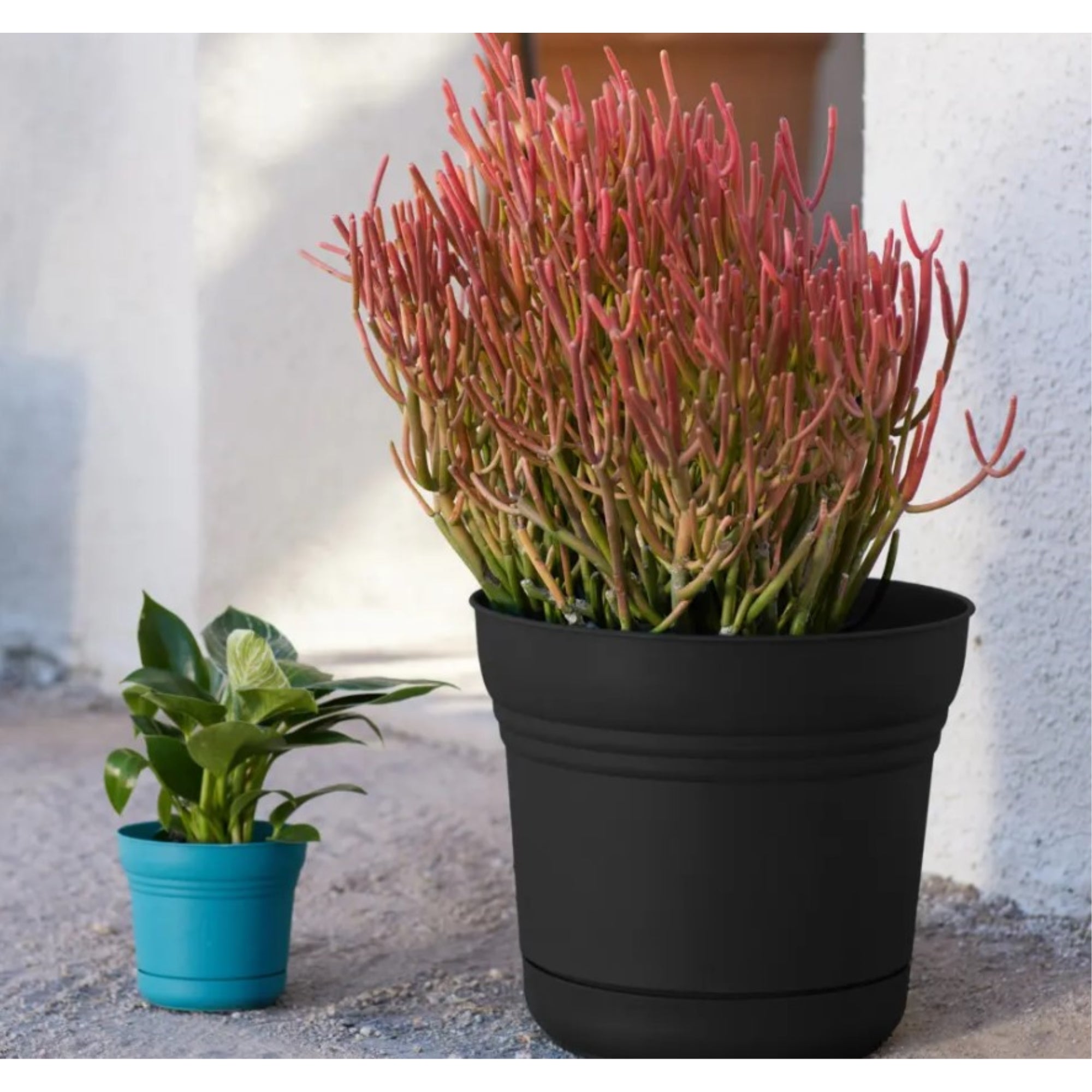 Bloem Saturn Plastic In/Outdoor Flower Pot Planter with Saucers