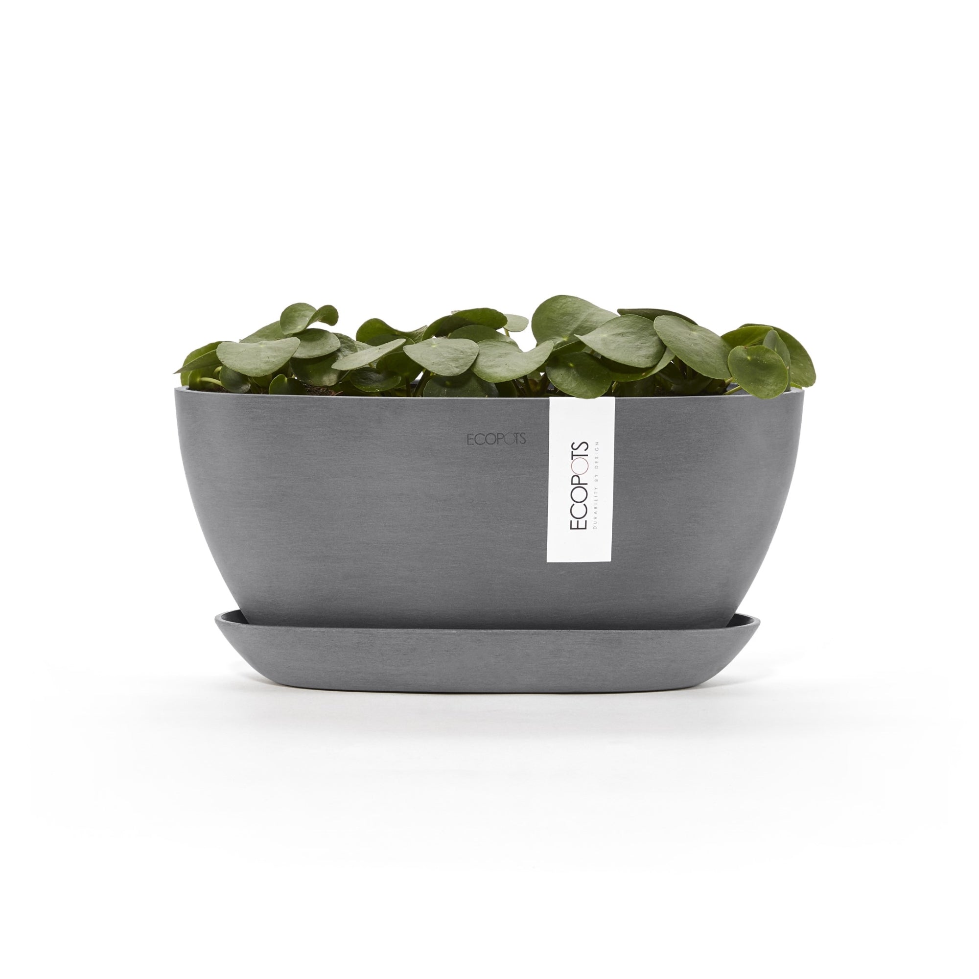 Ecopots Sofia Durable Modern Oval Indoor/Outdoor Recycled-Based Composite Flower Pot Planter w/ Water Reservoir