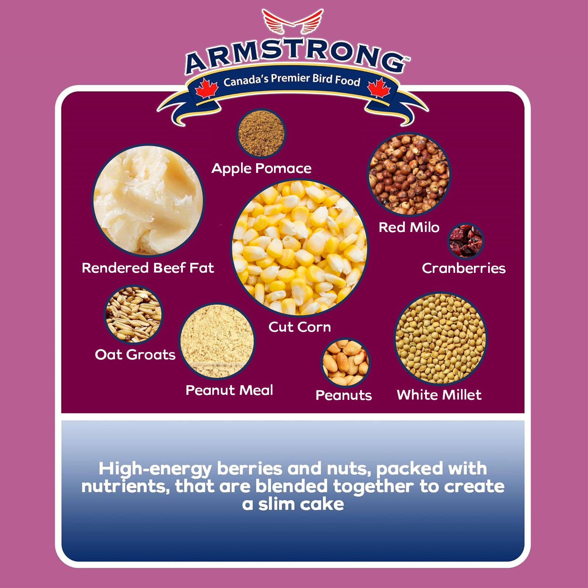 Armstrong Wild Bird Food Berry N' Nut Suet Cake, 11.3oz (Pack of 12)