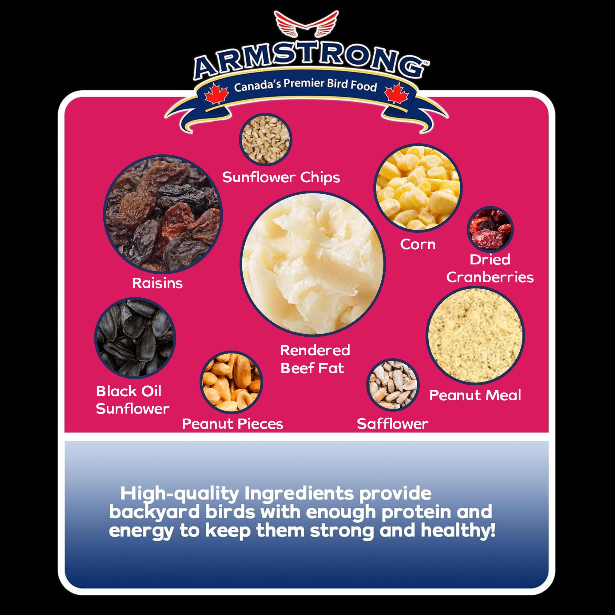 Armstrong Wild Bird Food Royal Jubilee Persistence Suet Cake for Woodpeckers, 10.6oz (Pack of 3)