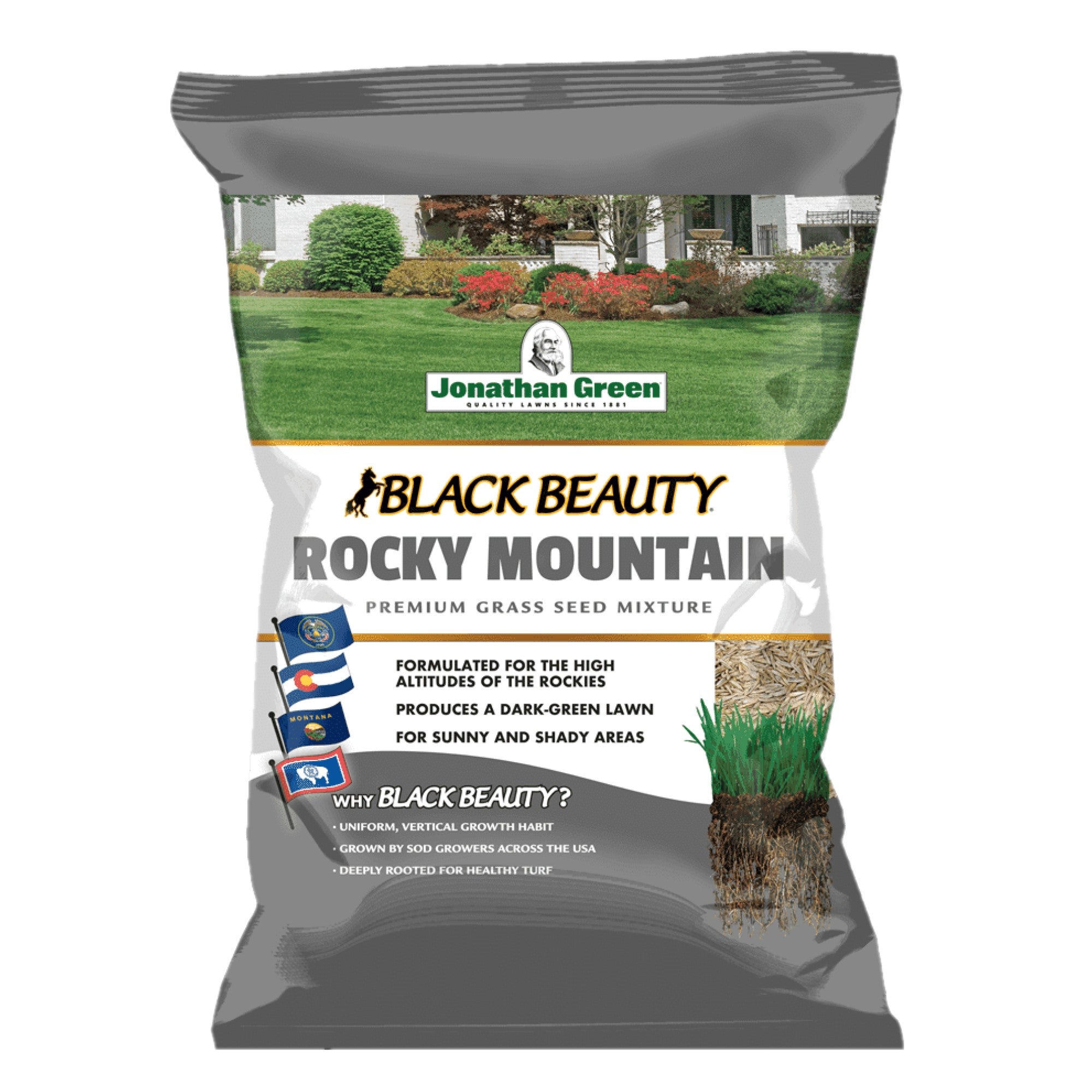 Black Beauty Rocky Mountain Colorado Lawn Grass Seed