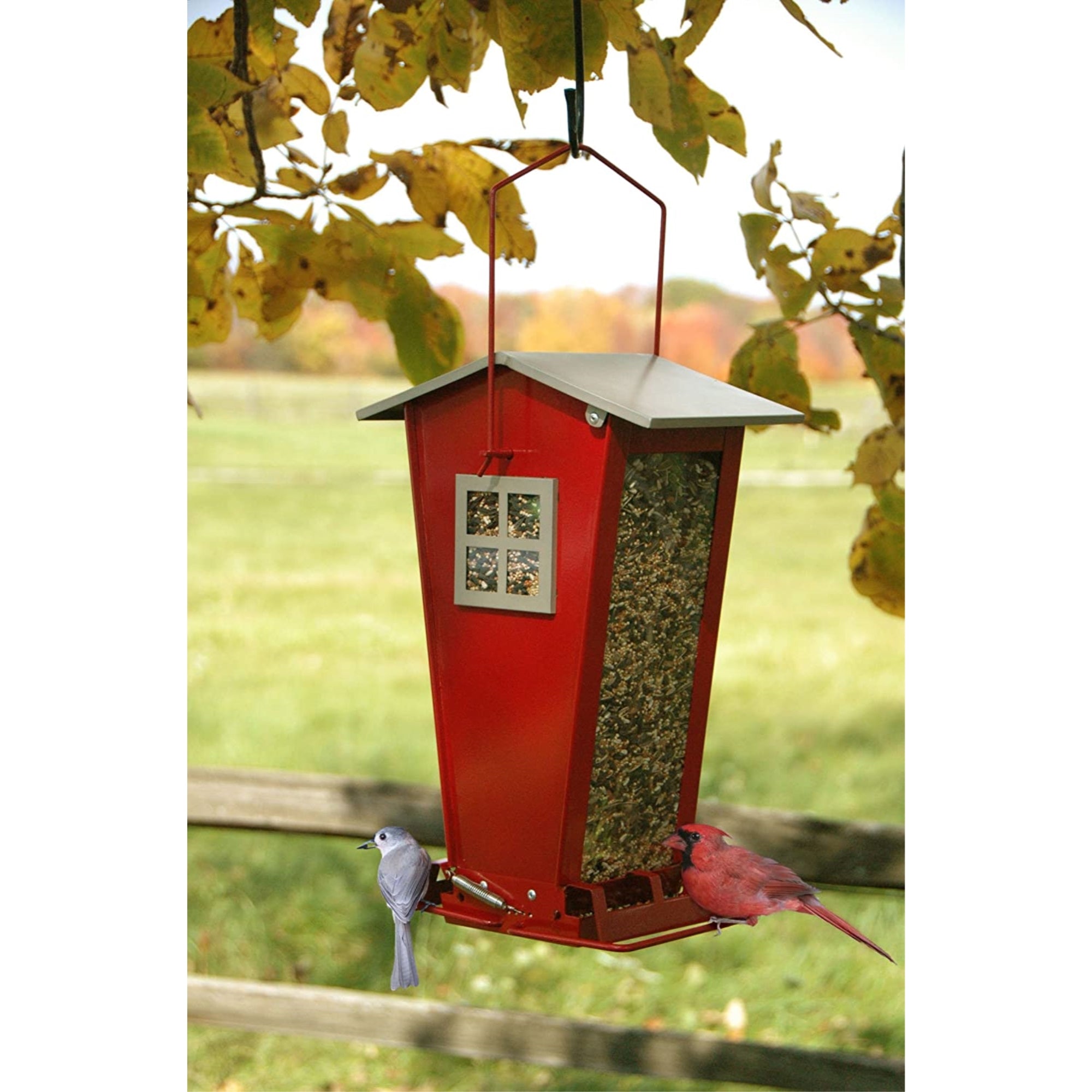 Audubon NA35194 Snack Shack Squirrel-Resistant Feeder