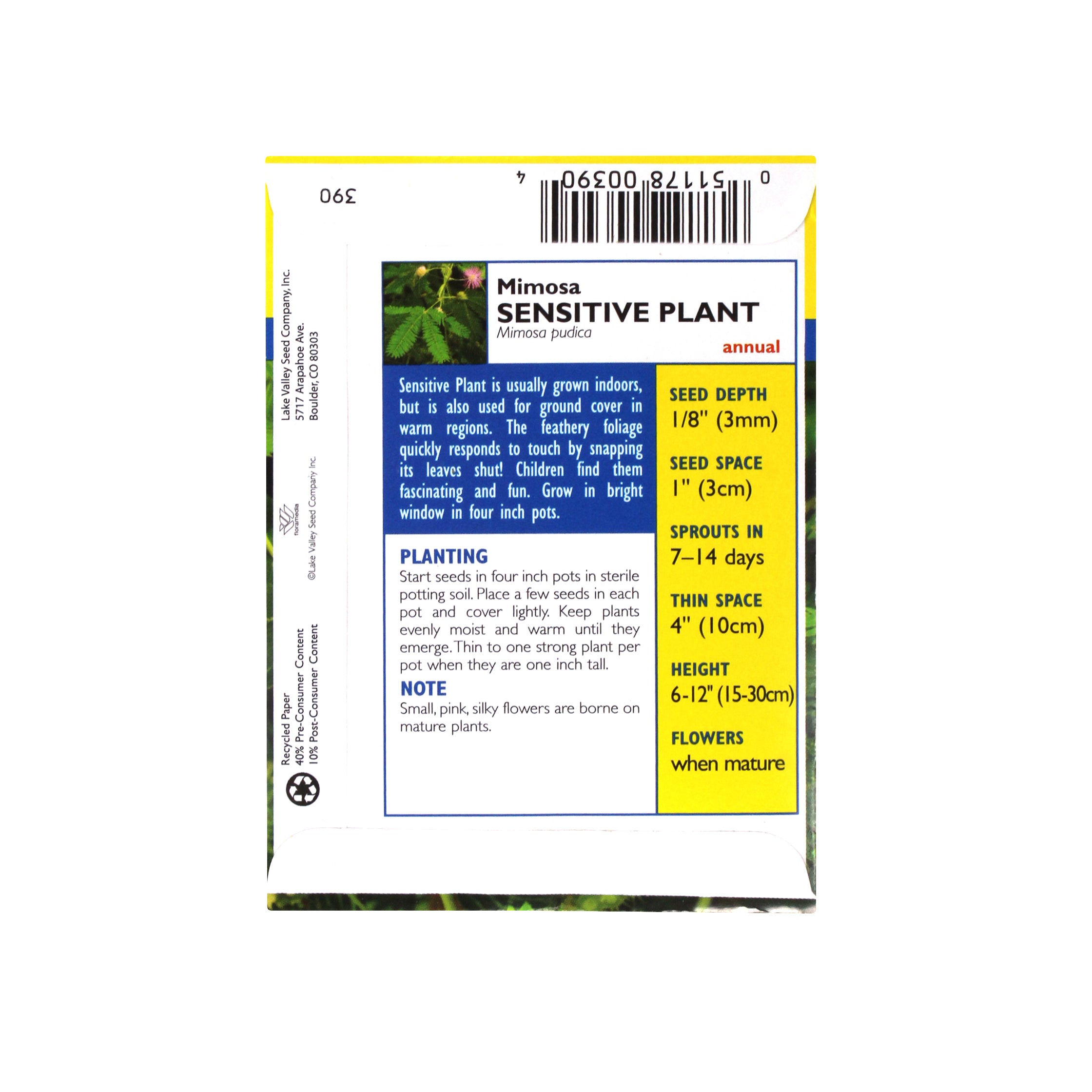 Lake Valley Seed Sensitive Plant, Mimosa Heirloom, 0.5g