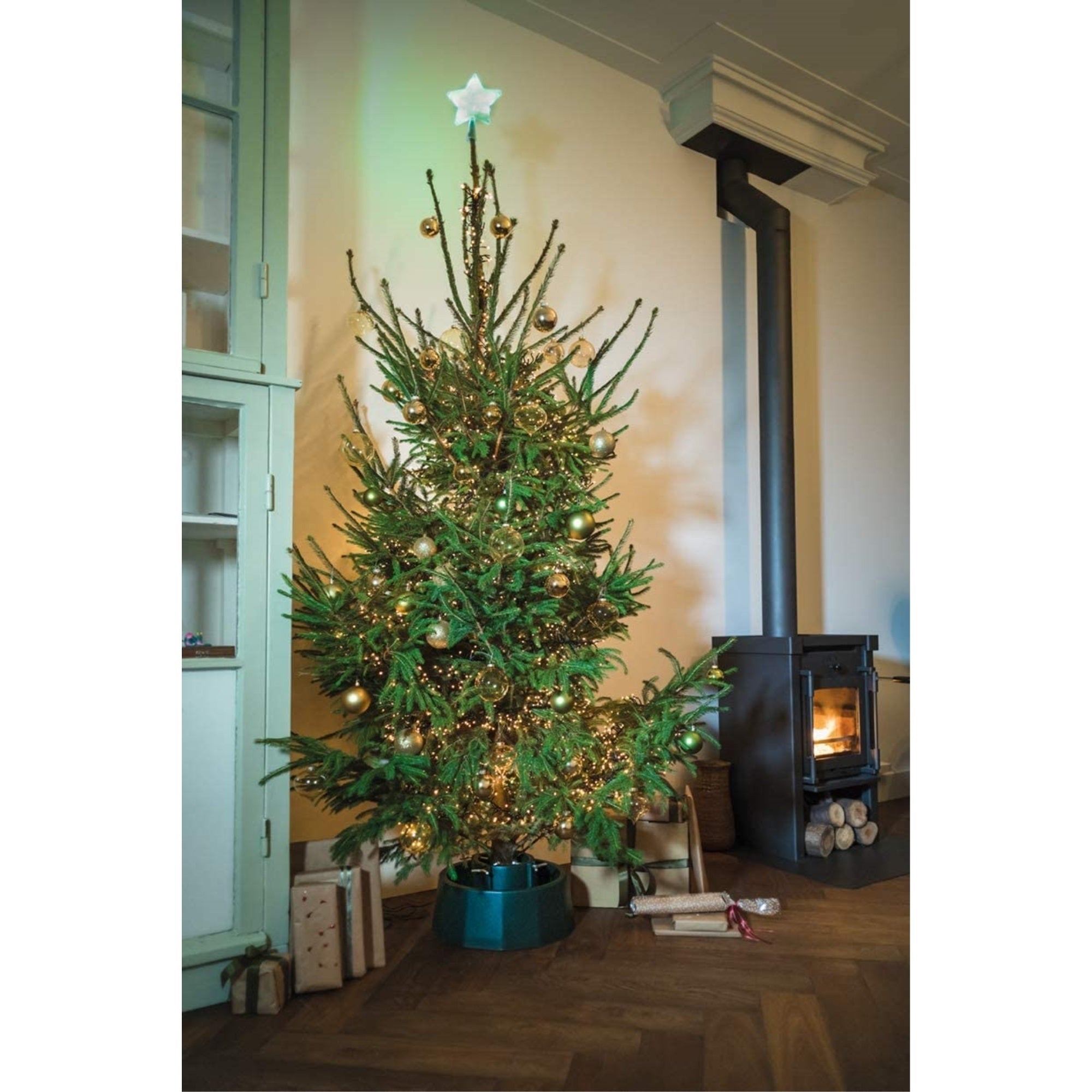Tree Nest Medium Robust Christmas Tree Stand for Real Trees, Green