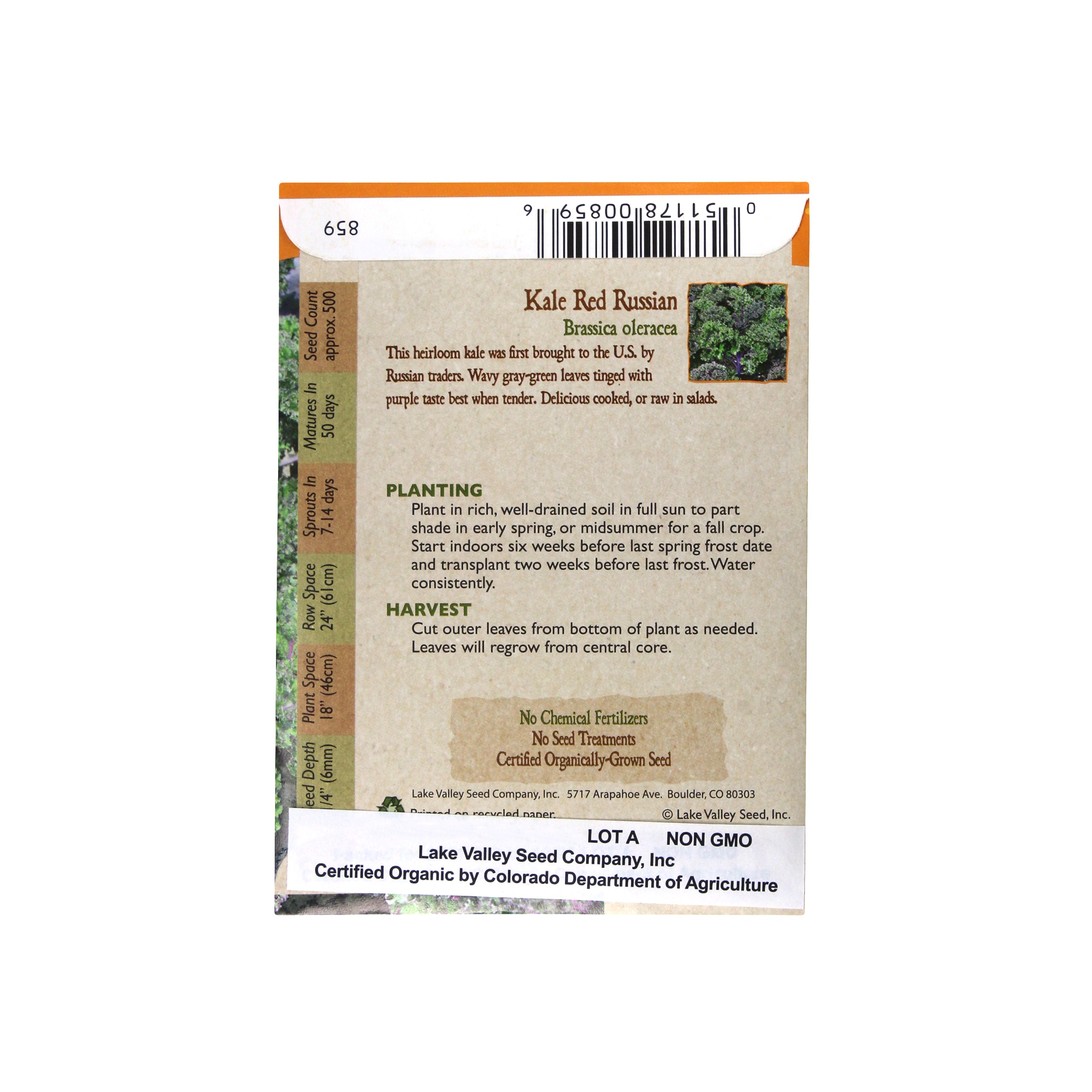 Lake Valley Seed Kale Organic Red Winter Vegetable Seeds, 2g