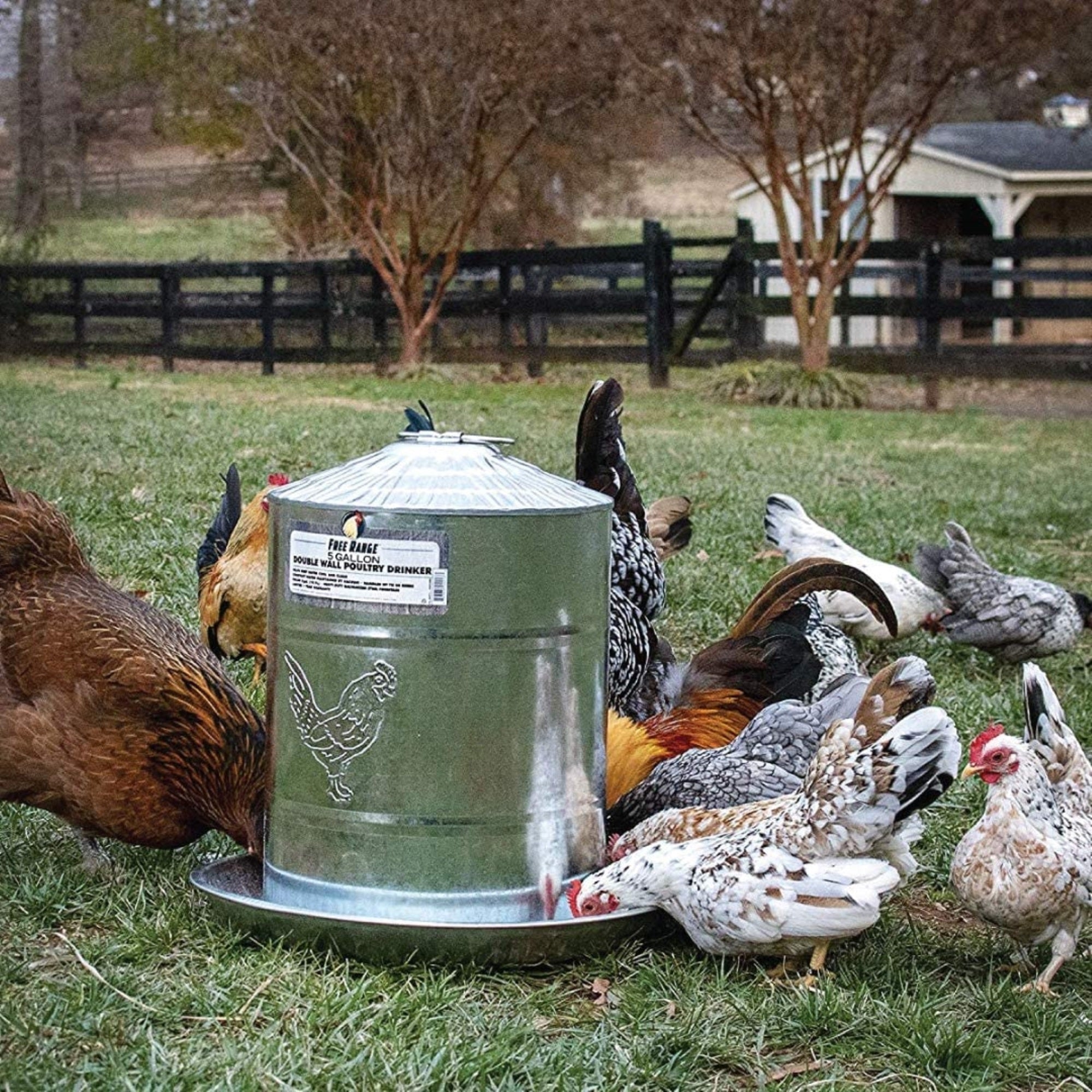 Harris Farms Galvanized Steel Double Wall Poultry Drinker, 2 gallons