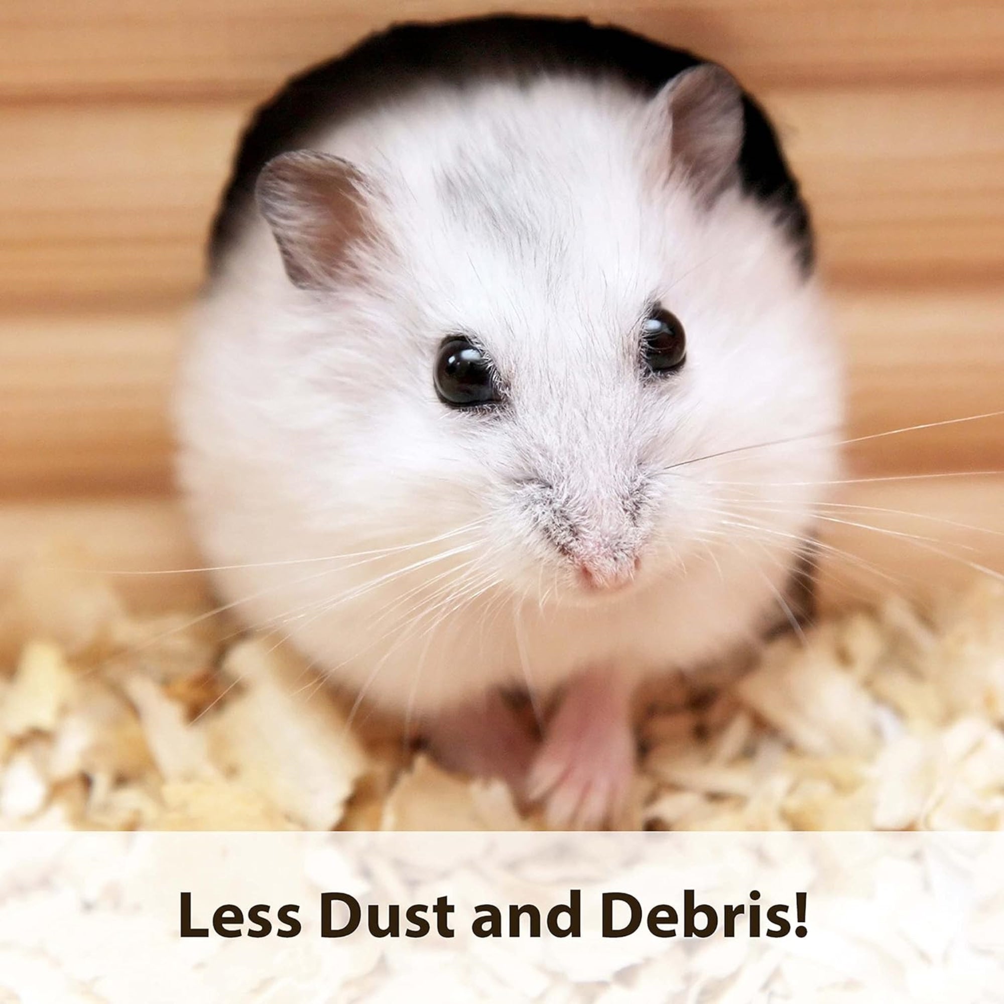 Kaytee Aspen Odor Control Small Pet Bedding For Rabbits, Hamsters, Gerbils, 8 cu ft.
