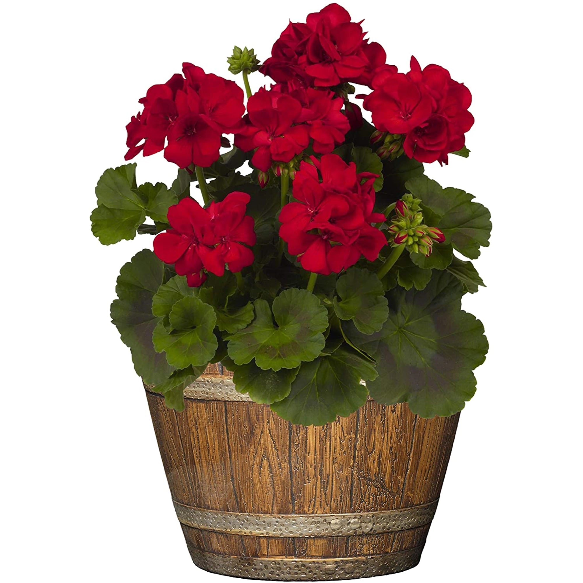 Classic Home and Garden Whiskey Resin Flower Pot Barrel Planter