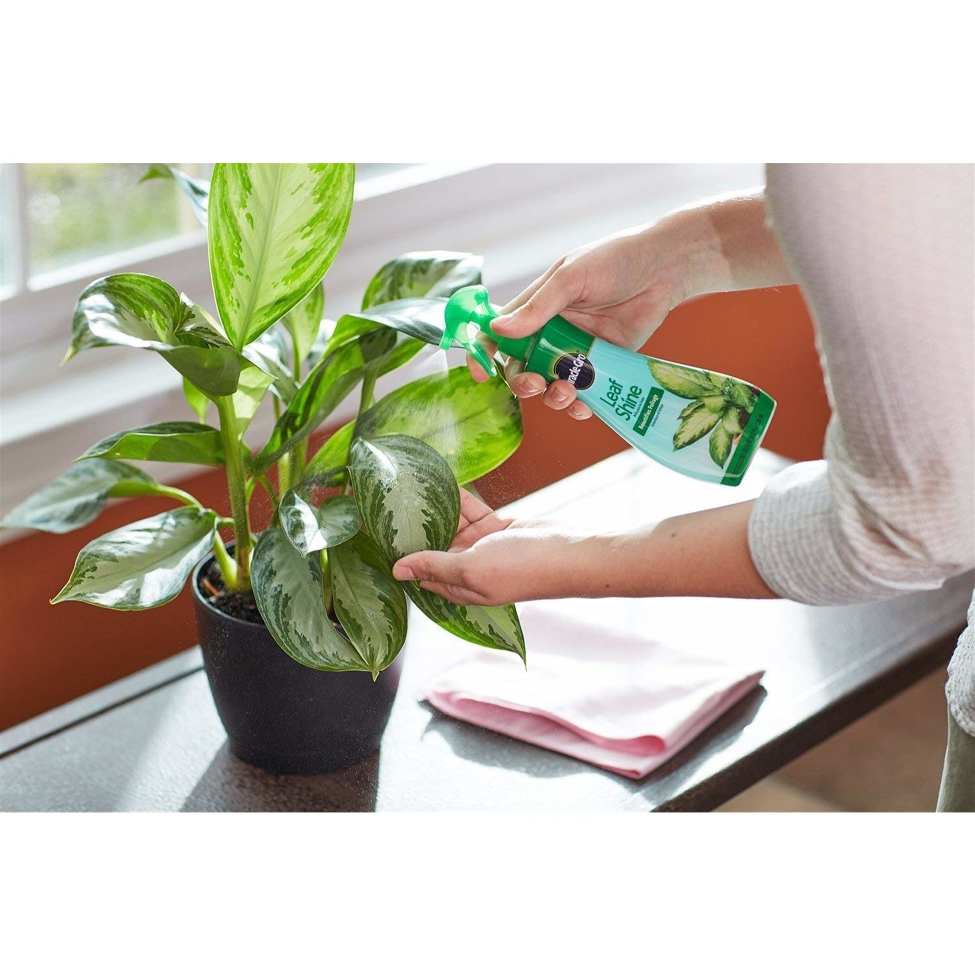 Miracle-Gro Liquid Leaf Shine Spray, 8 oz