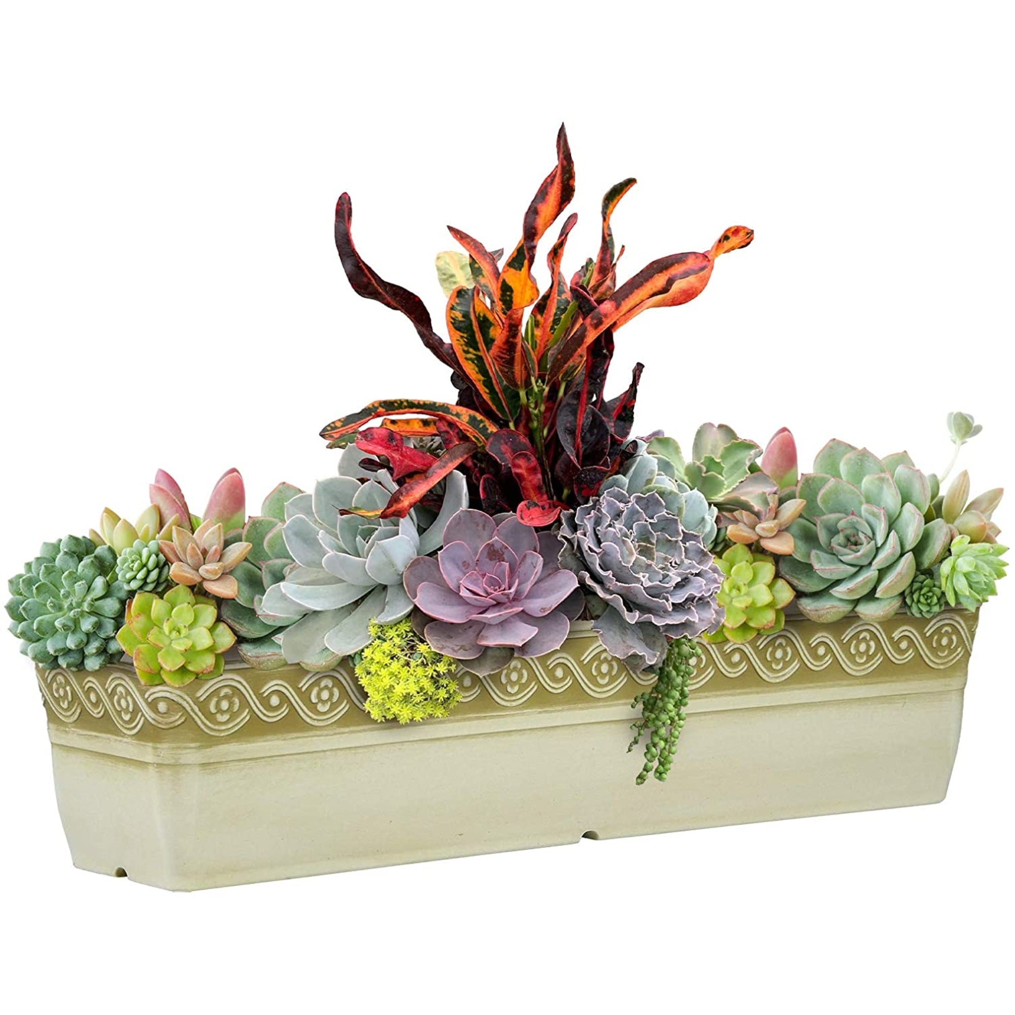 Classic Home and Garden Corinthian Resin Flower Pot Rectangle Planter, 18"