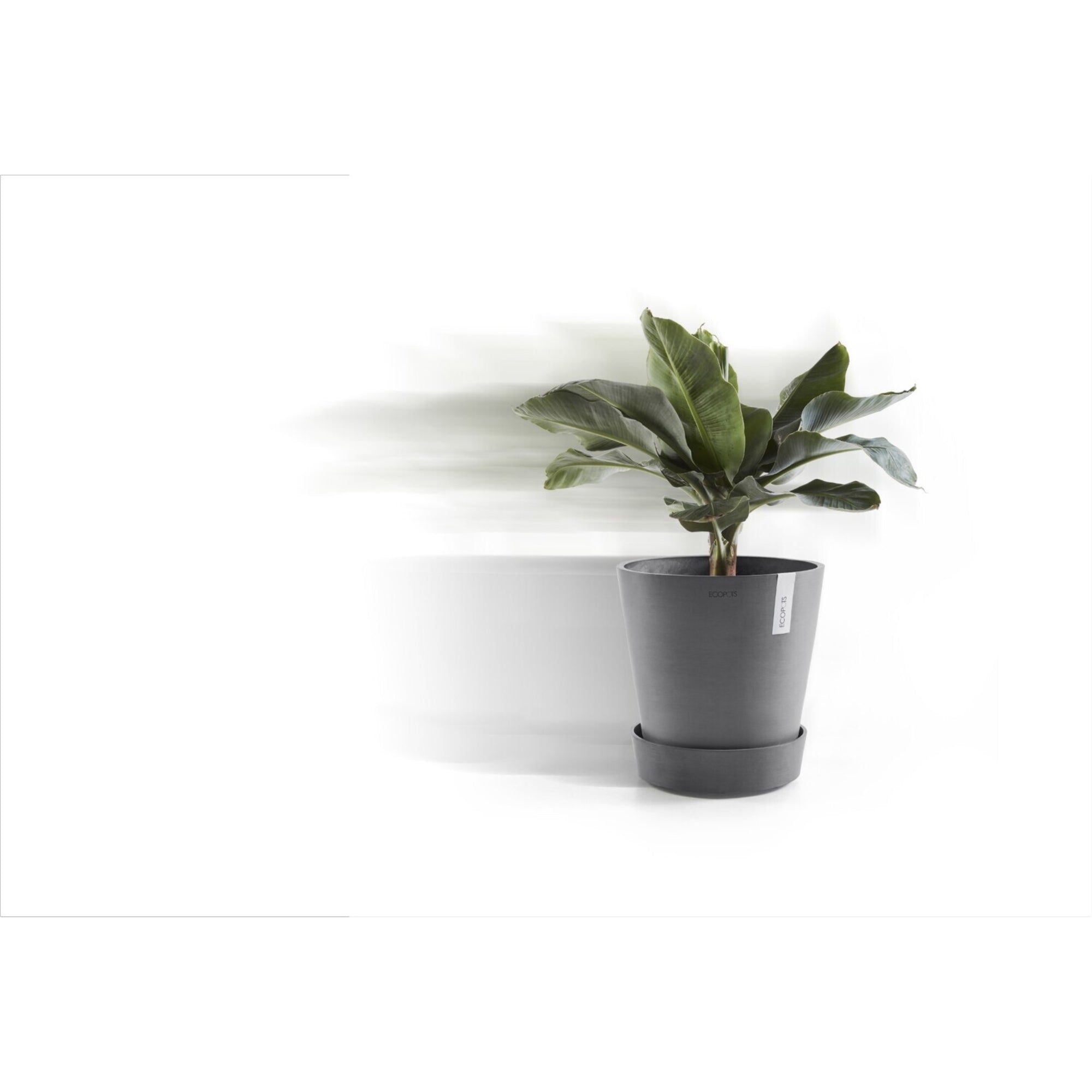 Ecopots Recycled Plastic Round Flower Pot Planter Saucer with Wheels