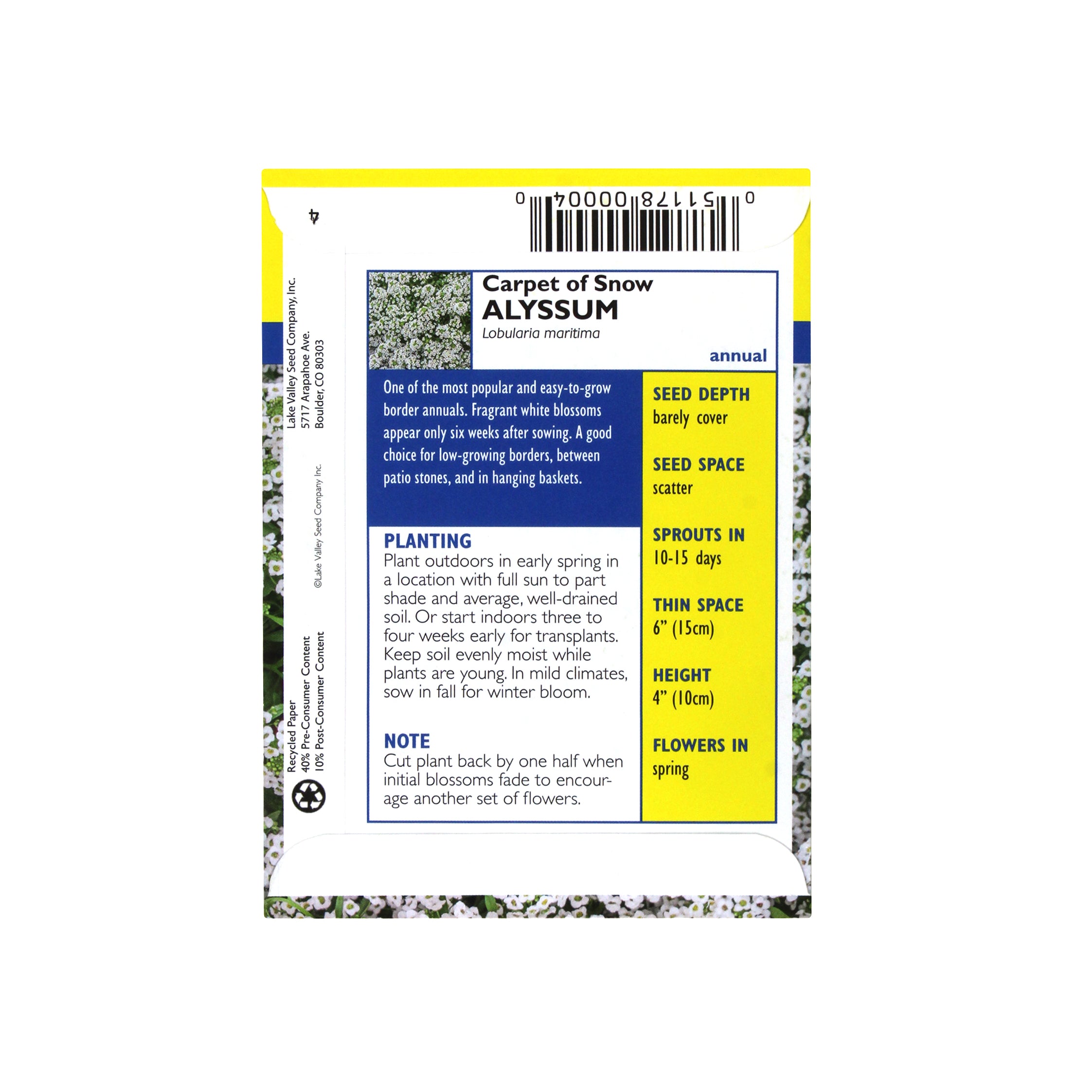 Lake Valley Seed Alyssum, Carpet of Snow Flower, 2g