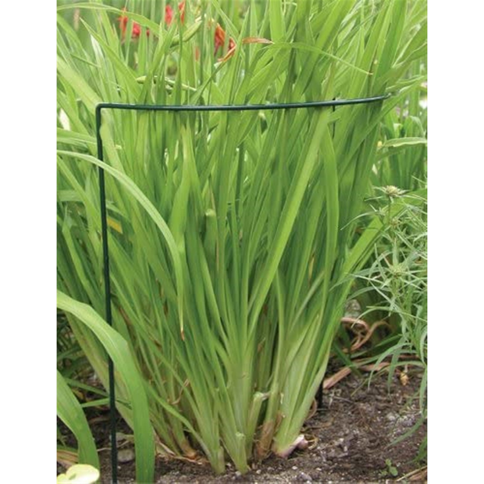 Luster Leaf Vinyl Plant Prop Ups, 40" Tall Support
