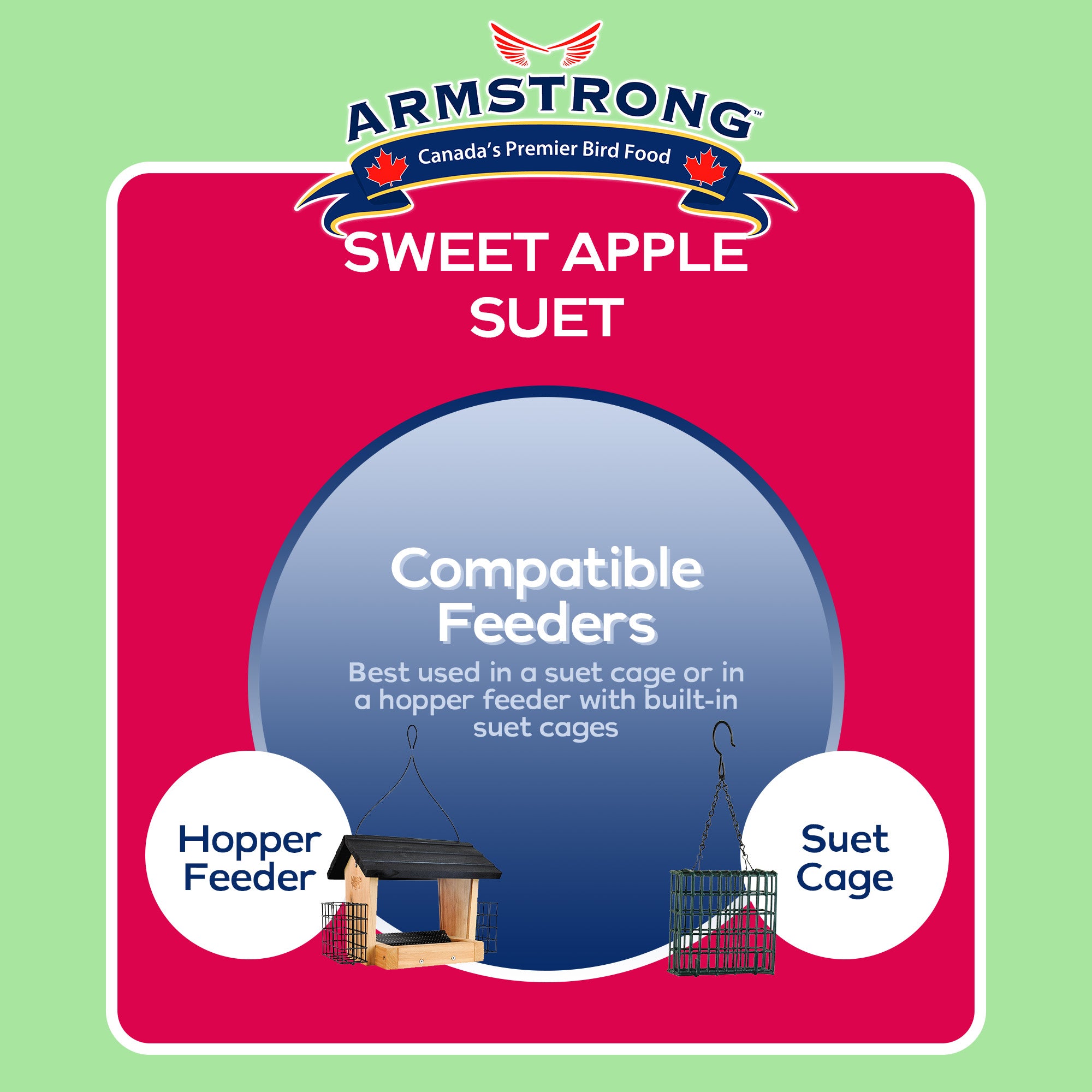 Armstrong Wild Bird Food Sweet Apple Suet Cake, 11.3oz (Pack of 12)