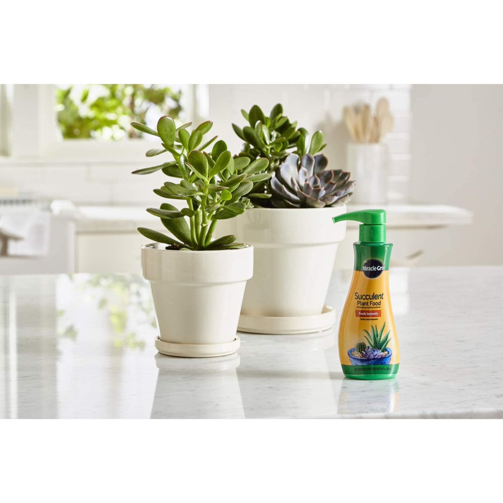 Scotts Miracle-Gro Succulent Plant Food, 8oz