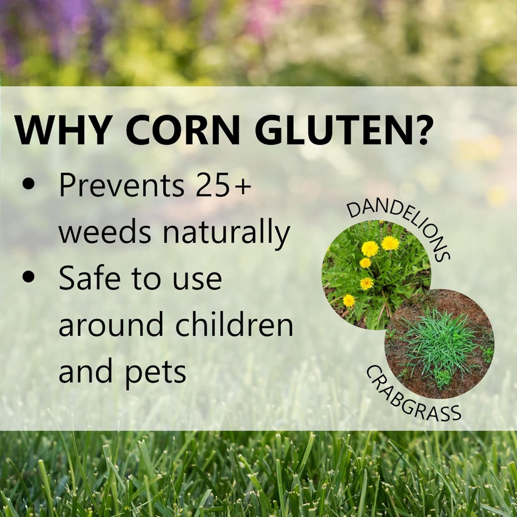 Jonathan Green Corn Gluten Weed Preventer Plus Lawn Food, 5M (5,000 sq ft Coverage)