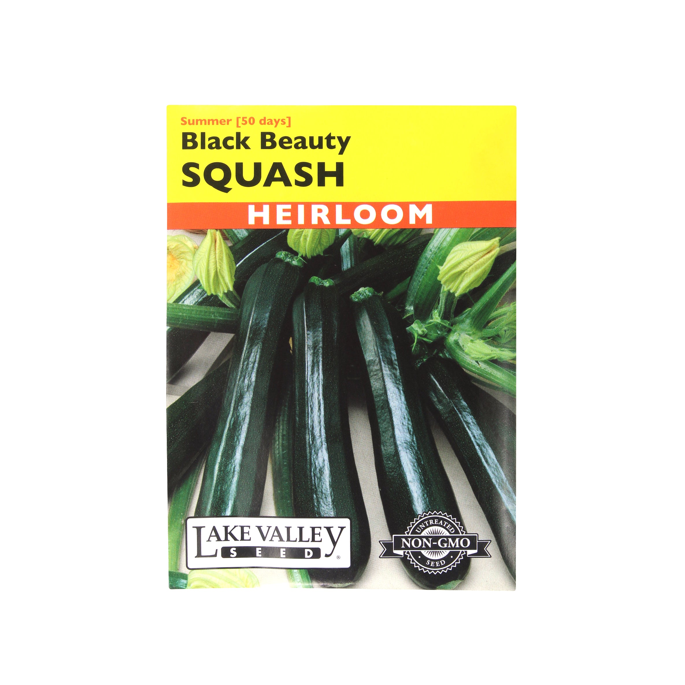 Lake Valley Seed Squash, Black Beauty Heirloom, 4g