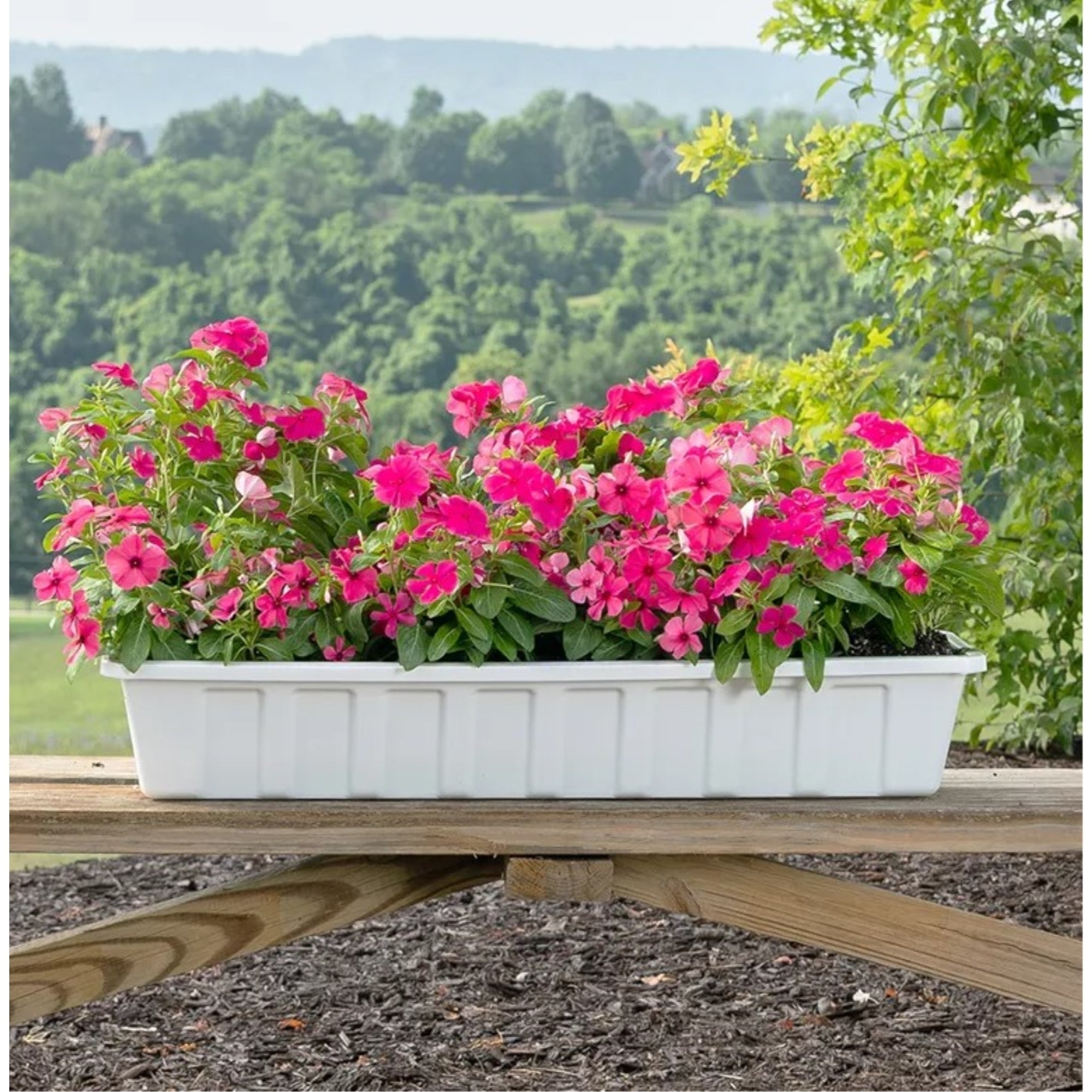 Novelty Poly-Pro Plastic Indoor/Outdoor Liner/Planter Flower Box