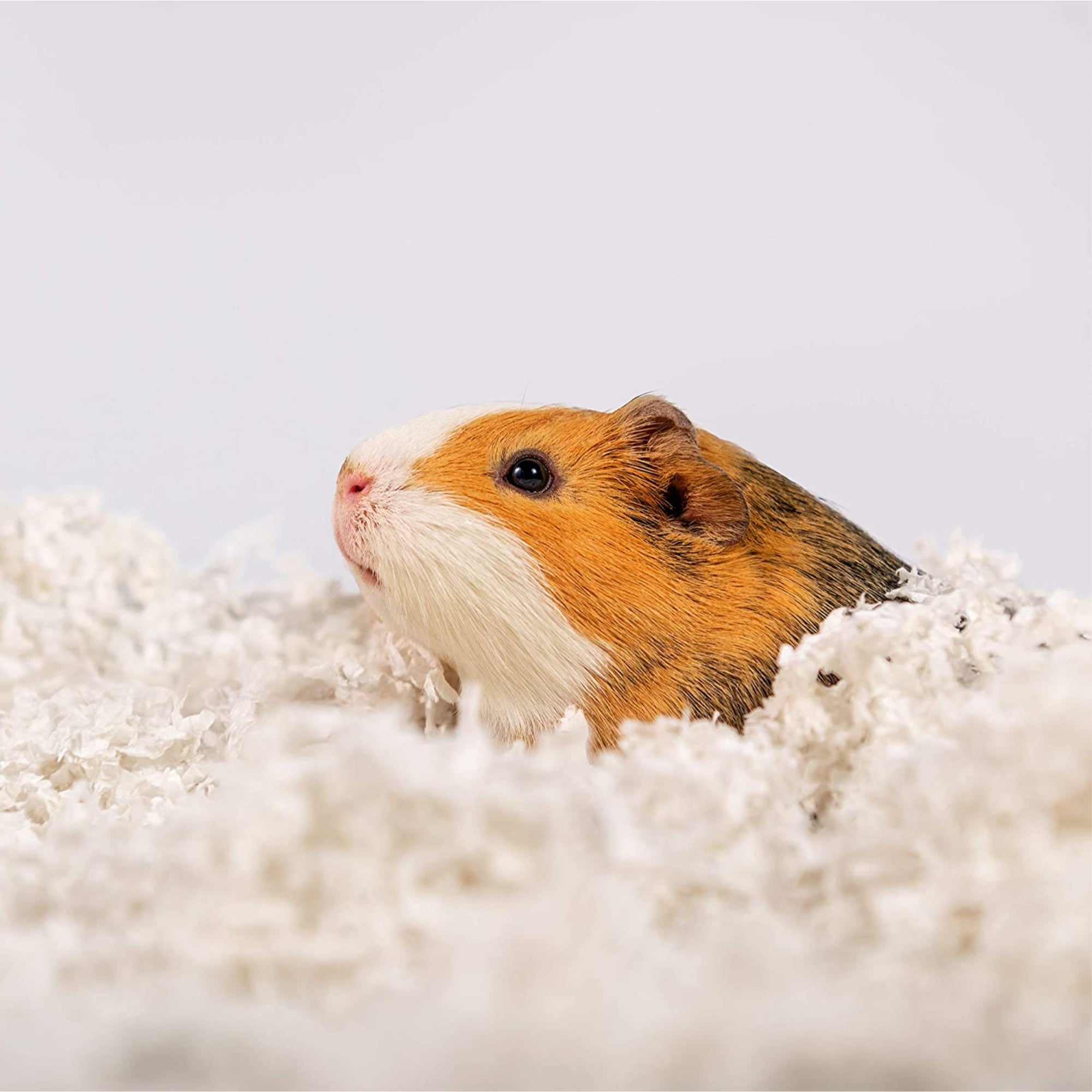PetsPick Uber Soft Paper Pet Bedding for Small Animals, Natural 36L