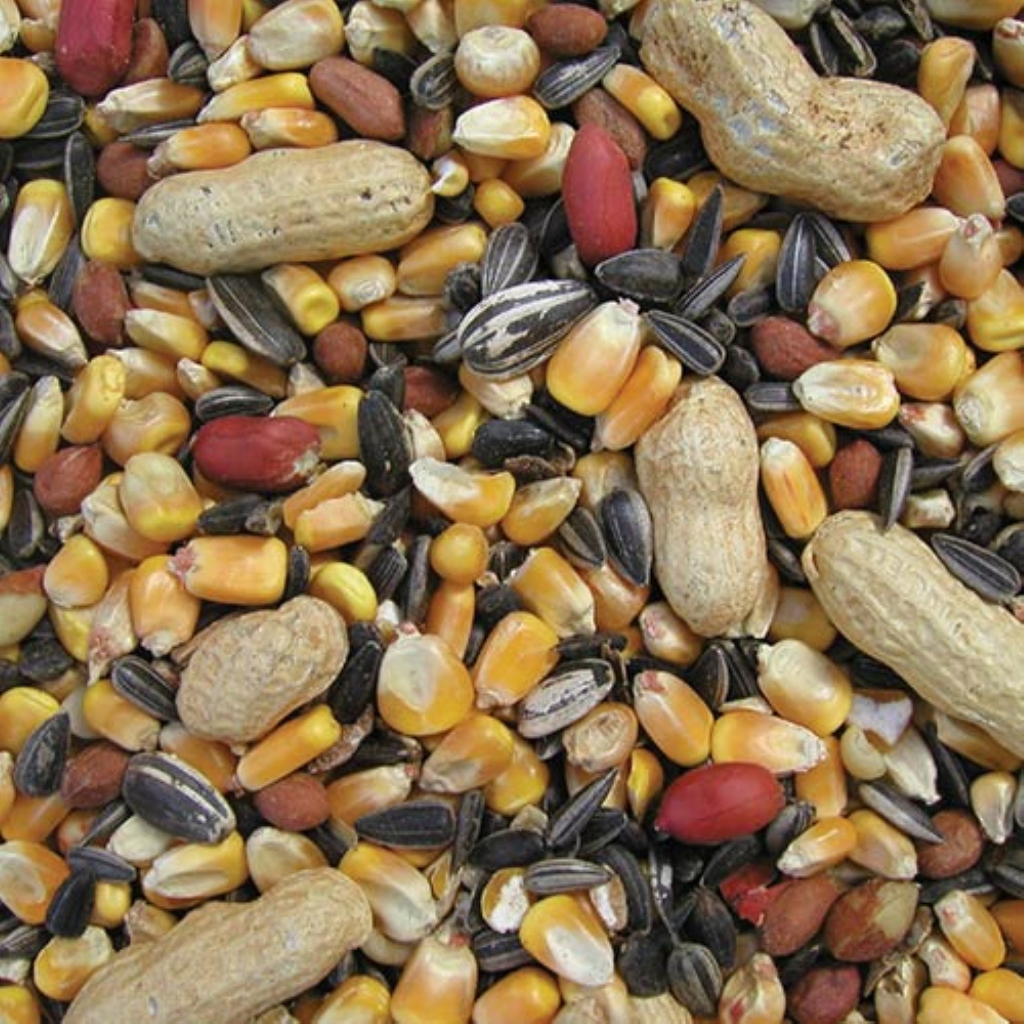 Cole’s Wild Bird Products Critter Munchies