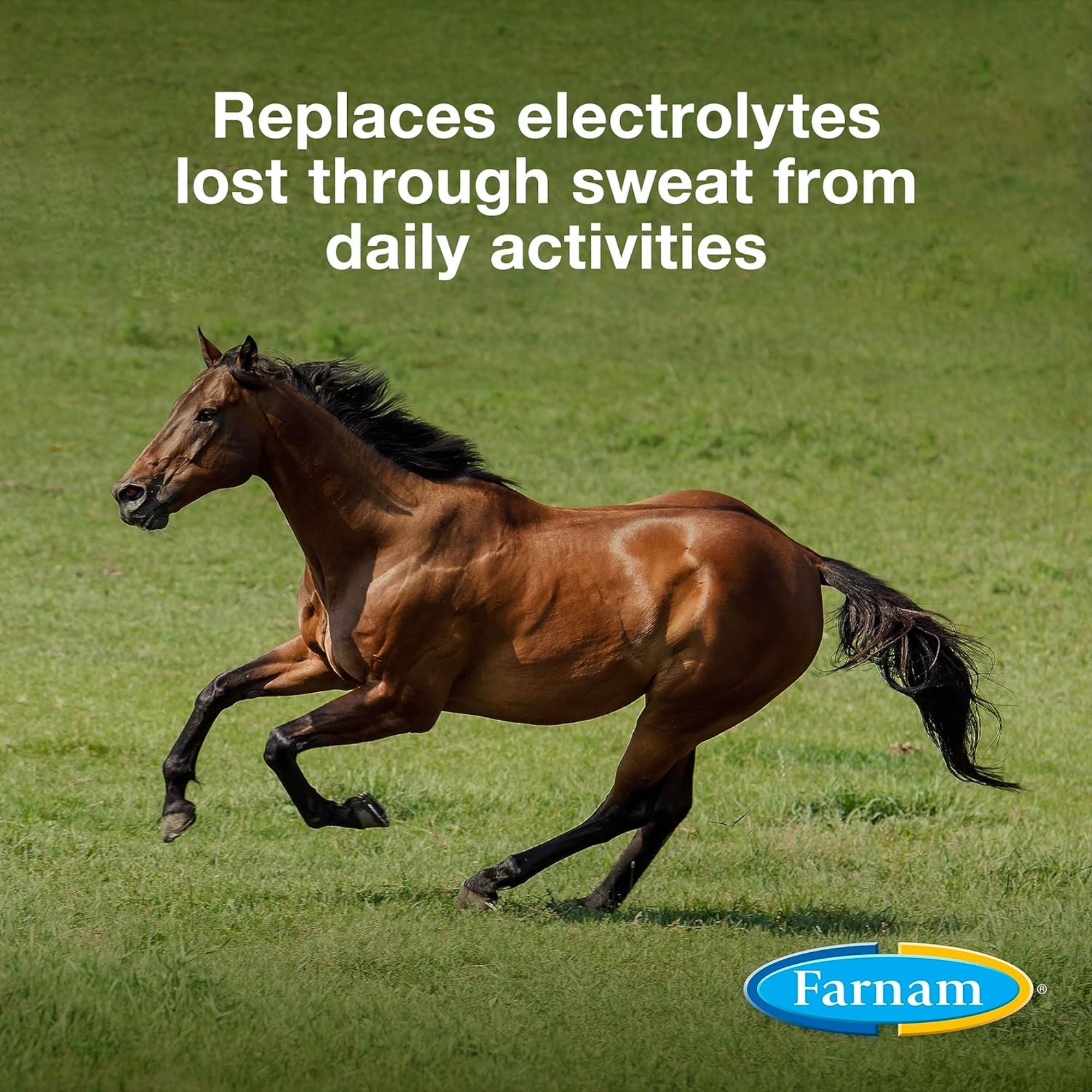 Farnam Apple Elite Electrolyte Supplement Powder for Horses, 20lb