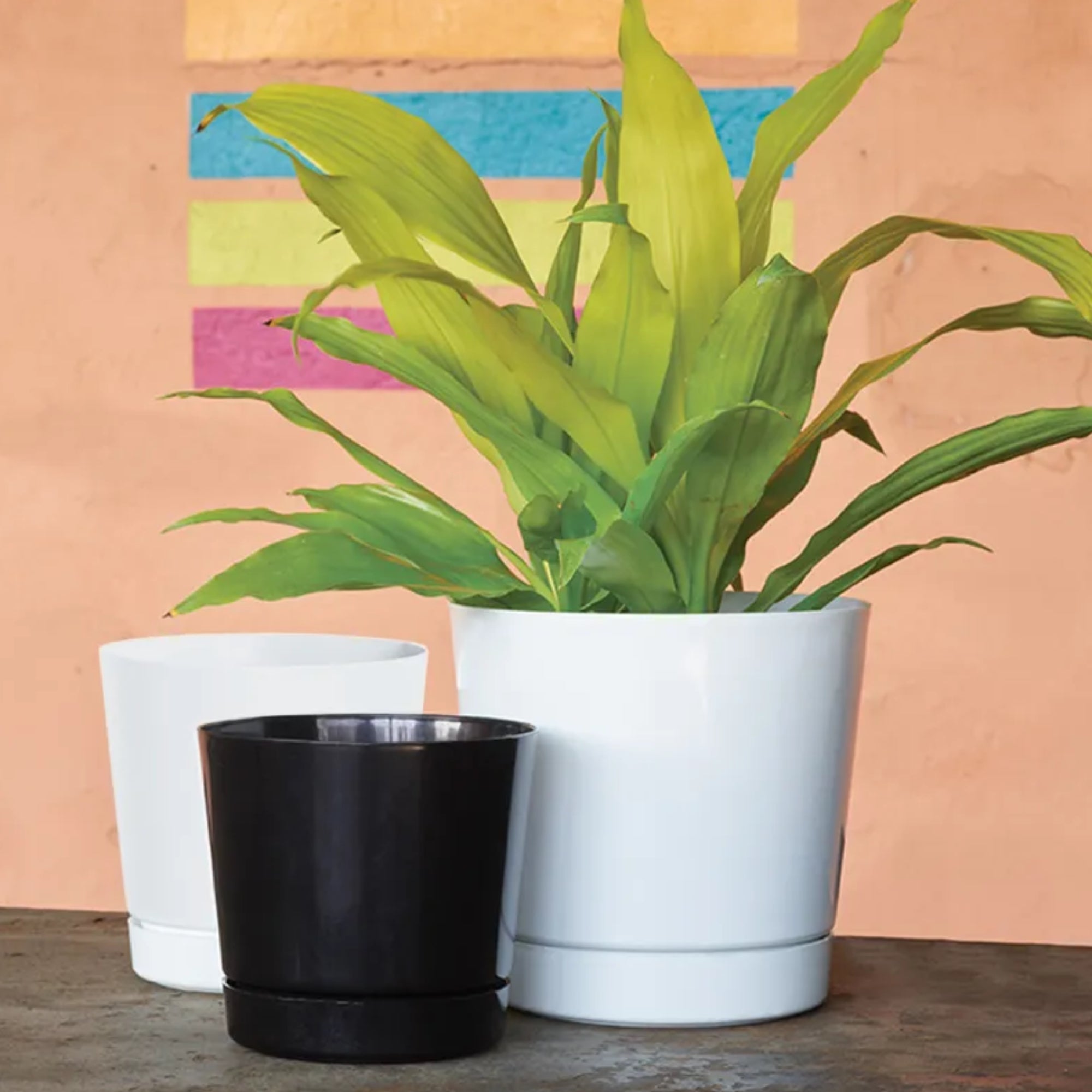 Novelty Manufacturing Majestic Full Depth Round Cylinder Pot