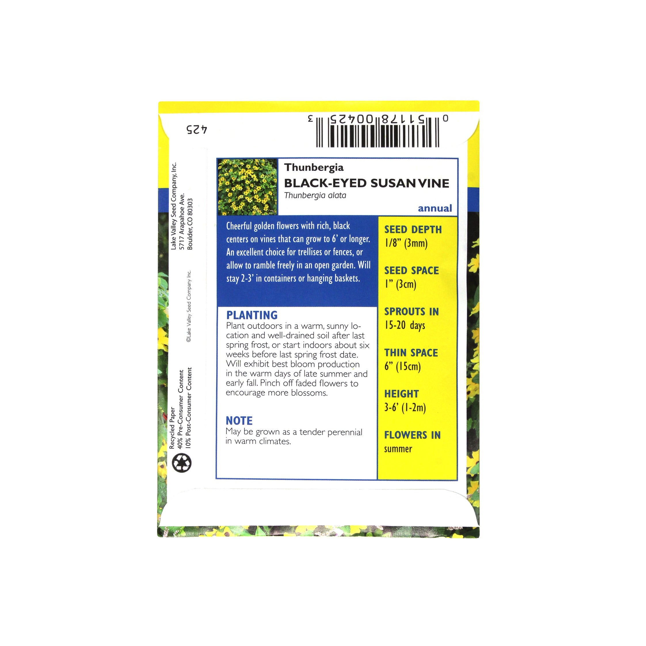 Lake Valley Seed Black Eyed Susan Vine, Thunbergia Heirloom, 0.75g