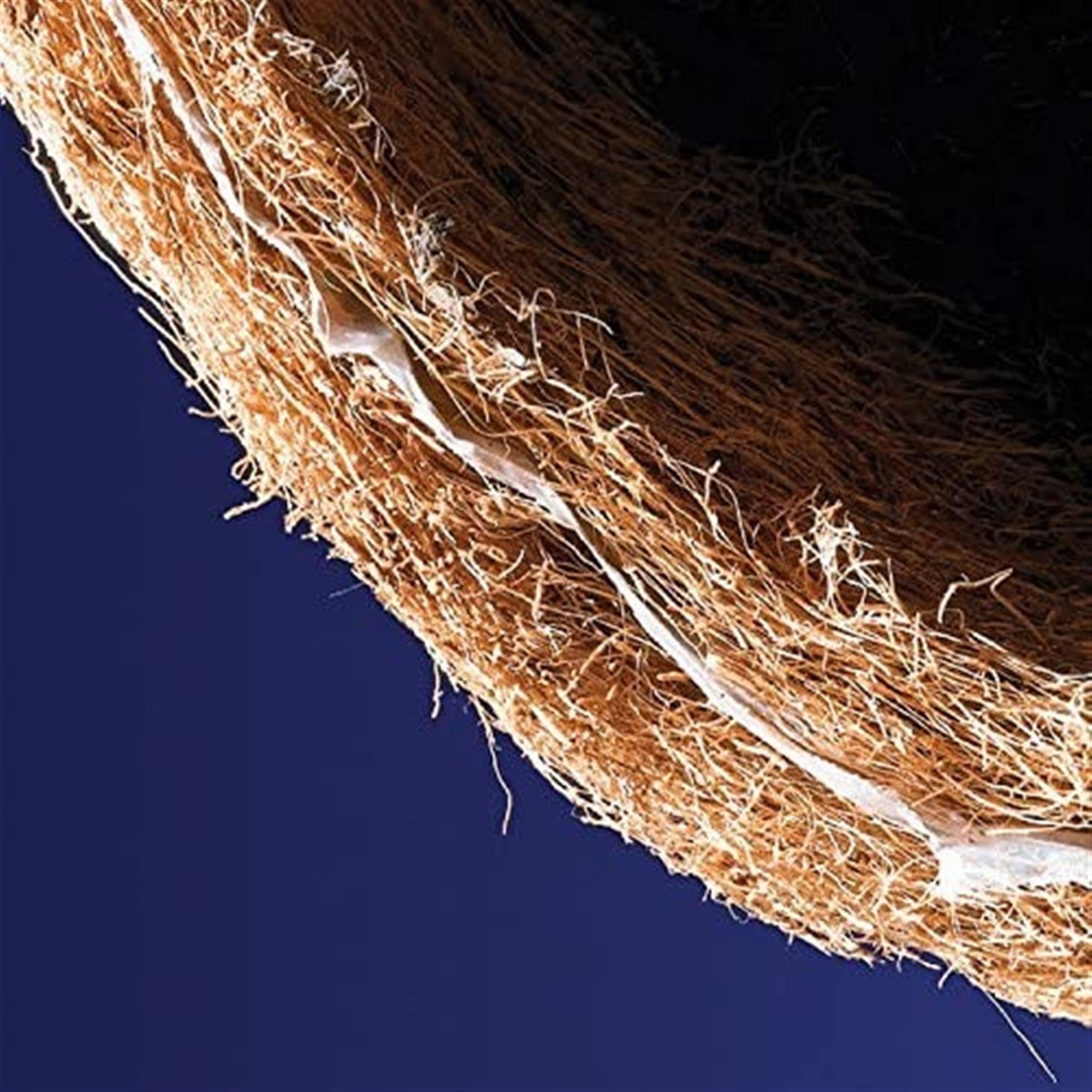 AquaSav??? 16 inch Round Coco Replacement Liner