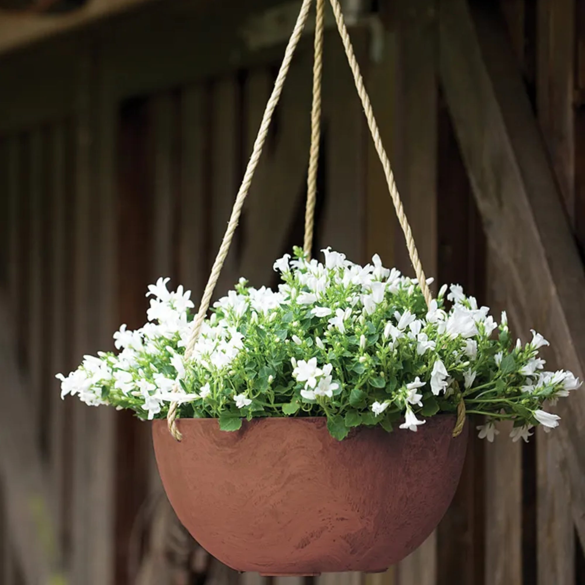 Novelty Artstone Hanging Bowl Planter/Flower Pot, Rust, 12”