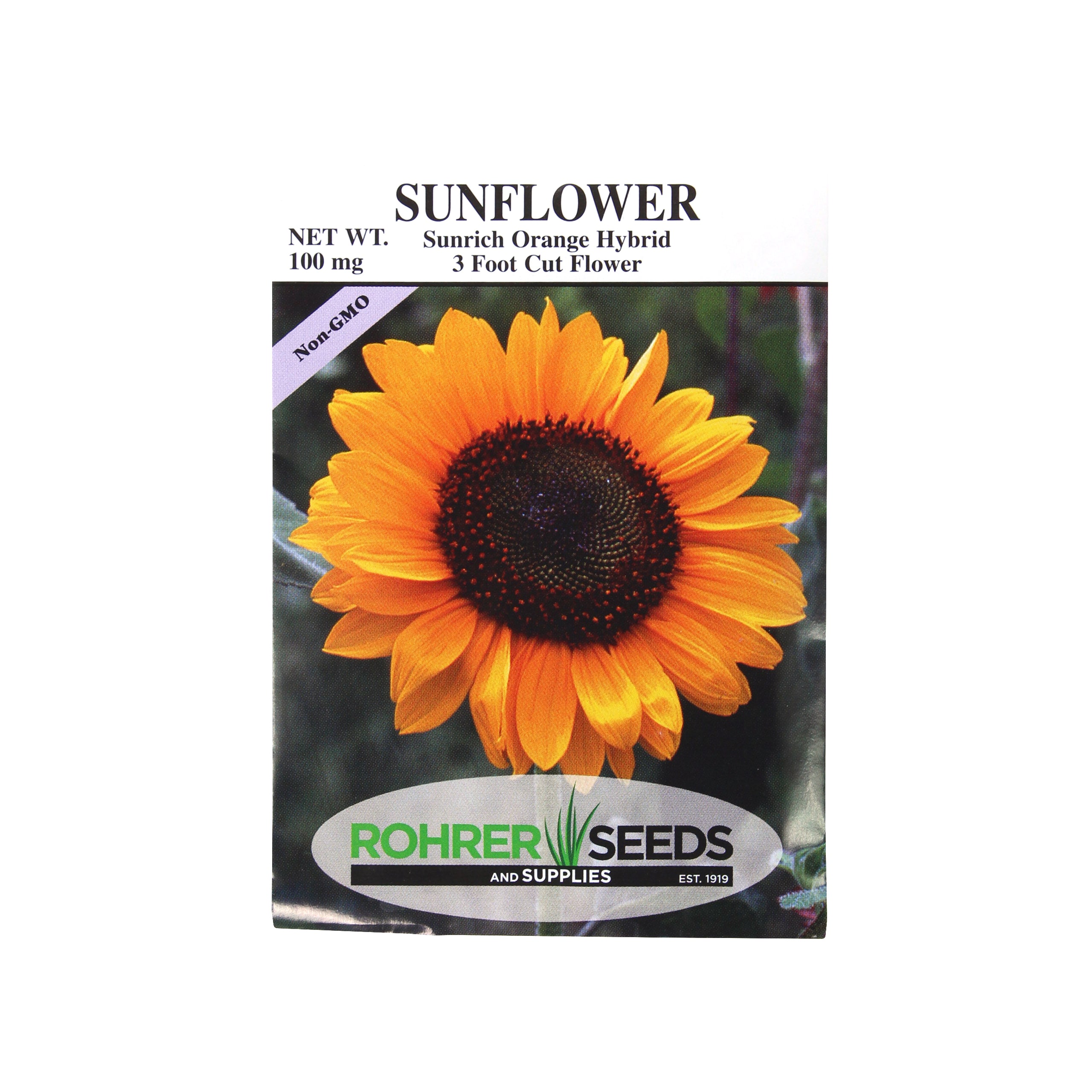 Rohrer Seeds Cut Flower Sunflower, Sunrich Orange Hybrid, 3ft, Approx 5-10 Seeds/Packet