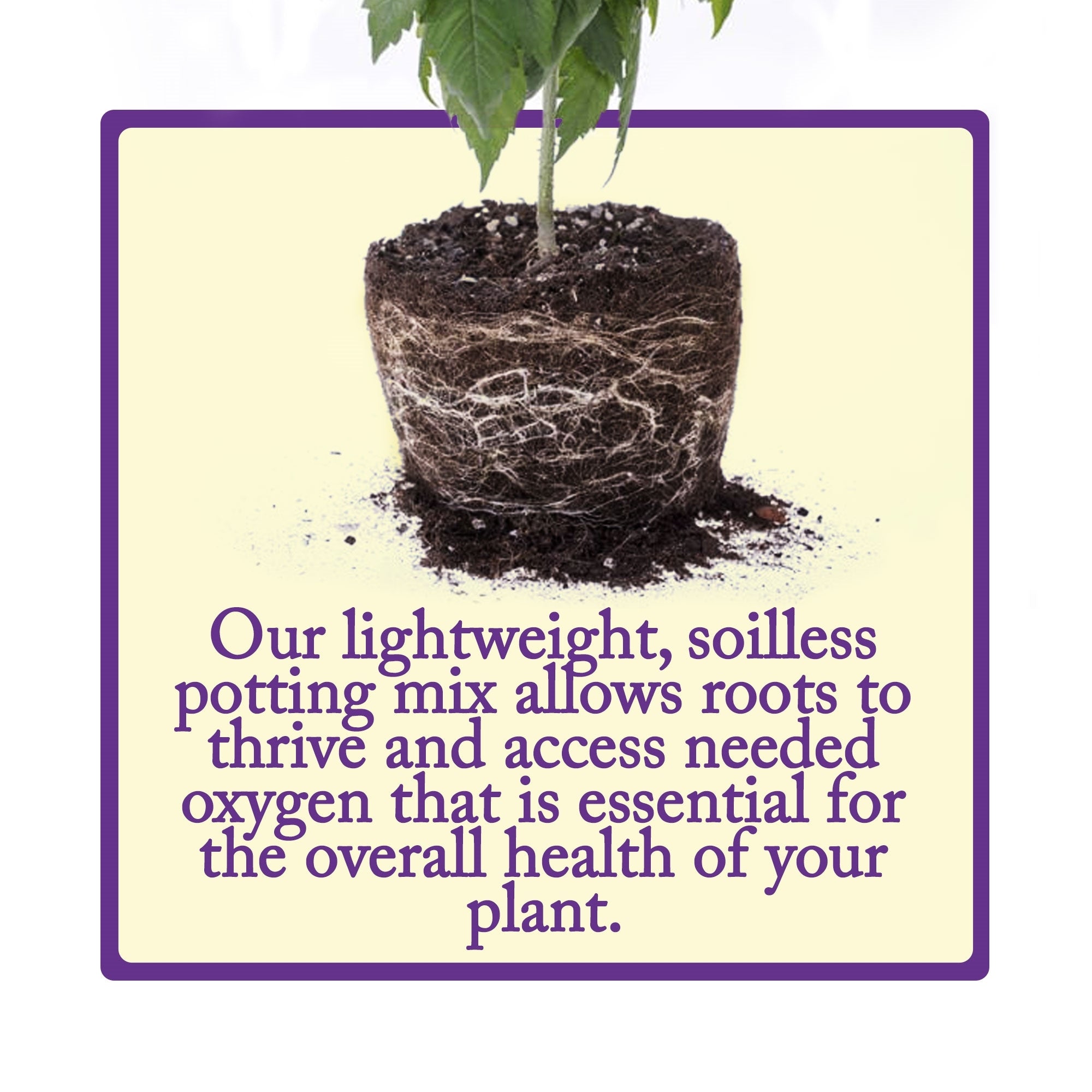 Esbenshade's Lightweight In/Outdoor Soilless Potting Soil