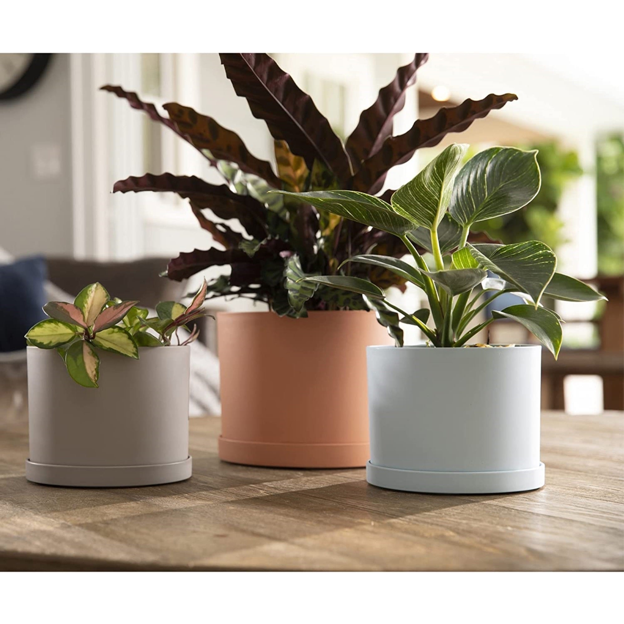 Bloem Mathers Round Plastic Planter with Saucer Tray