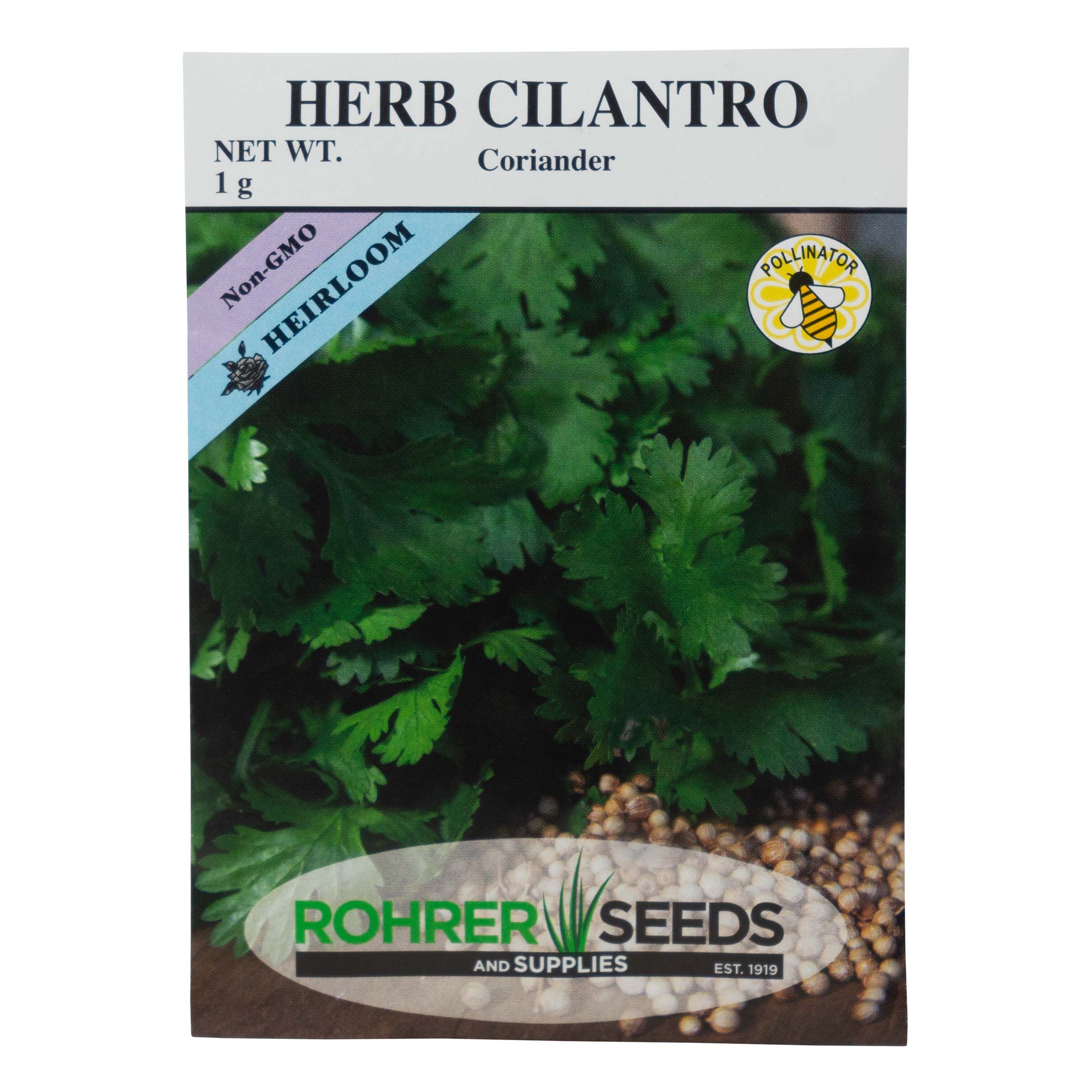 Rohrer Seeds Herb Cilantro, Coriander Heirloom, 1g, Approx 85 Seeds/Packet