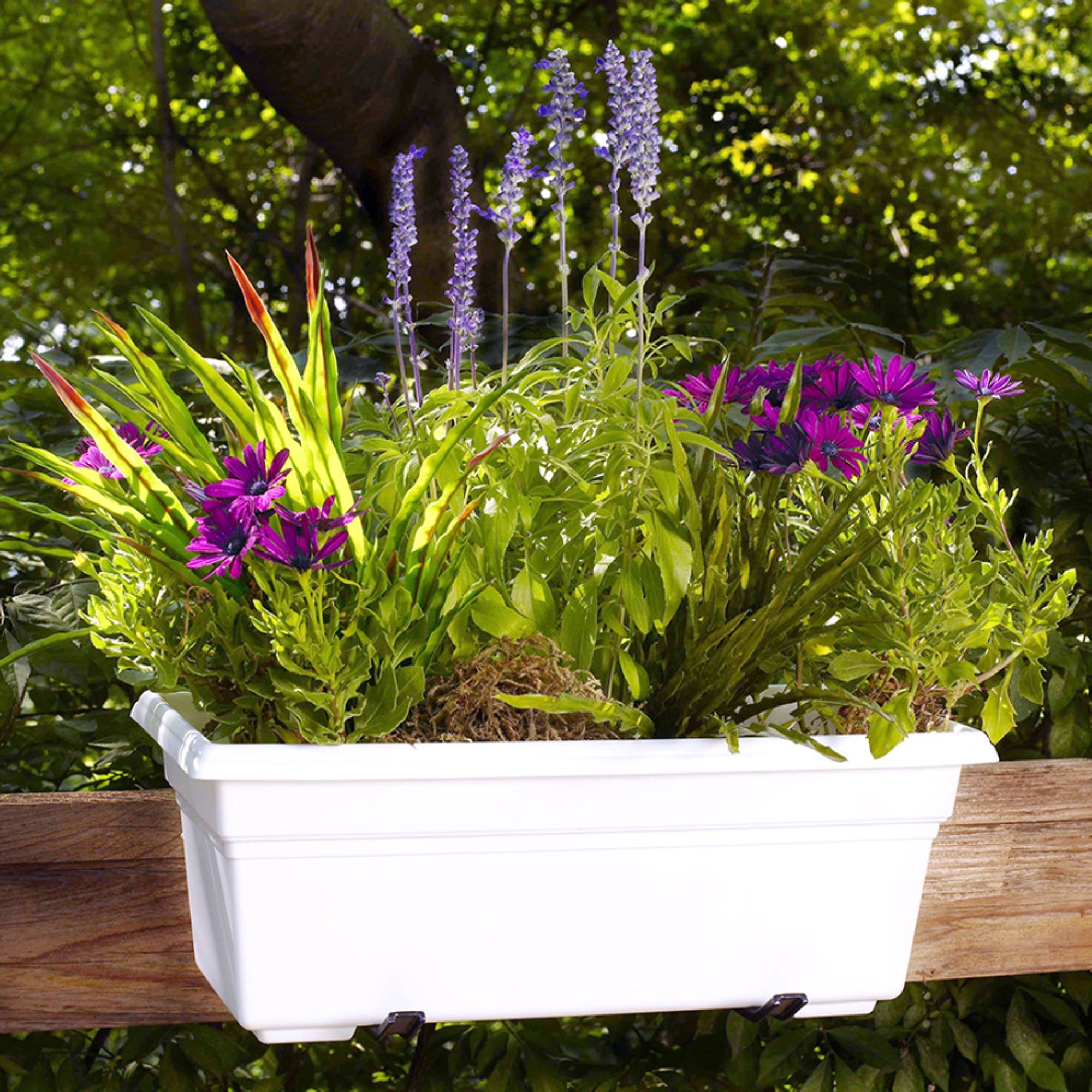 Novelty Plastic Countryside Flower Box Planter
