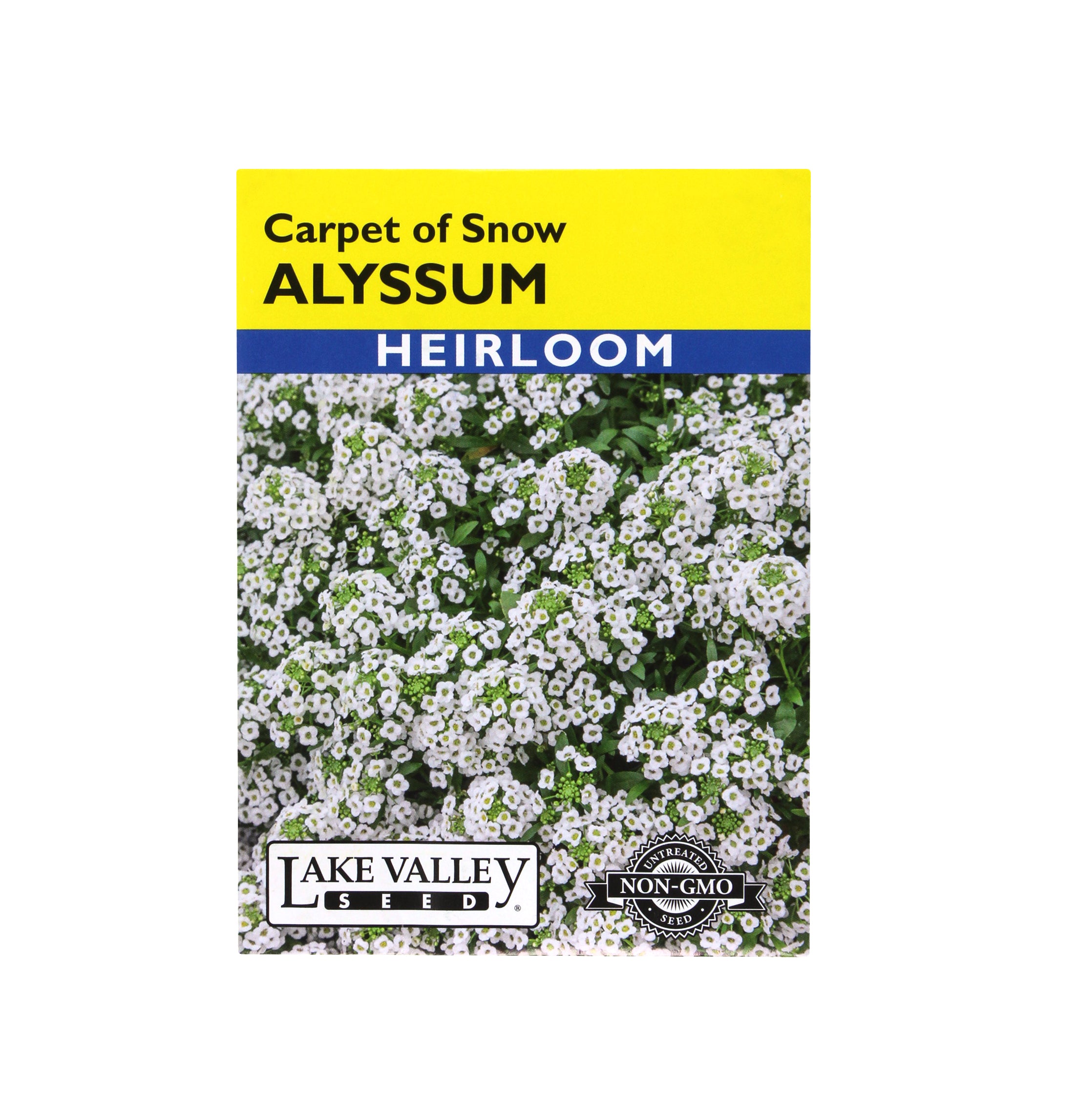Lake Valley Seed Alyssum, Carpet of Snow Flower, 2g
