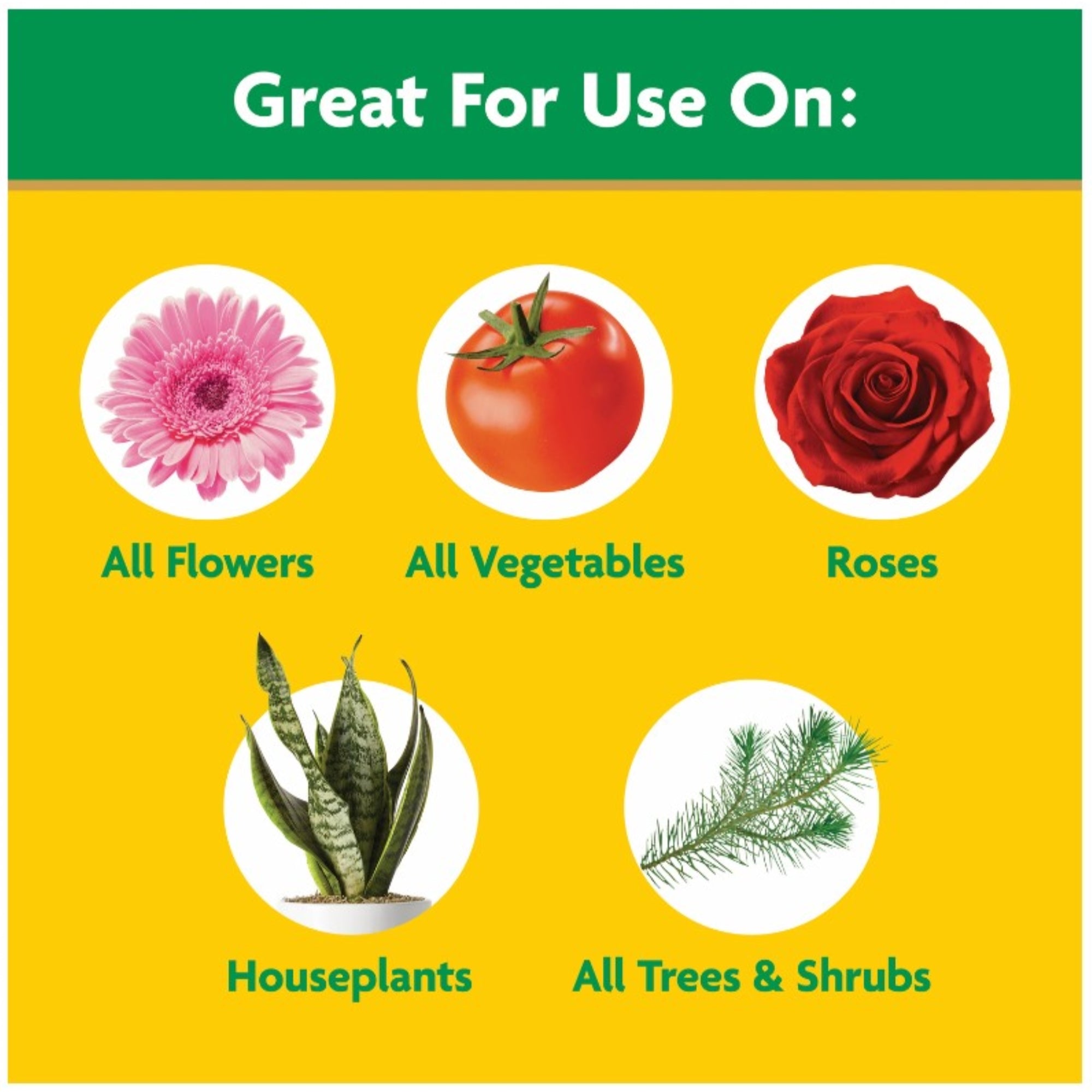 Miracle-Gro Water Soluble All Purpose Plant Food, 8 oz