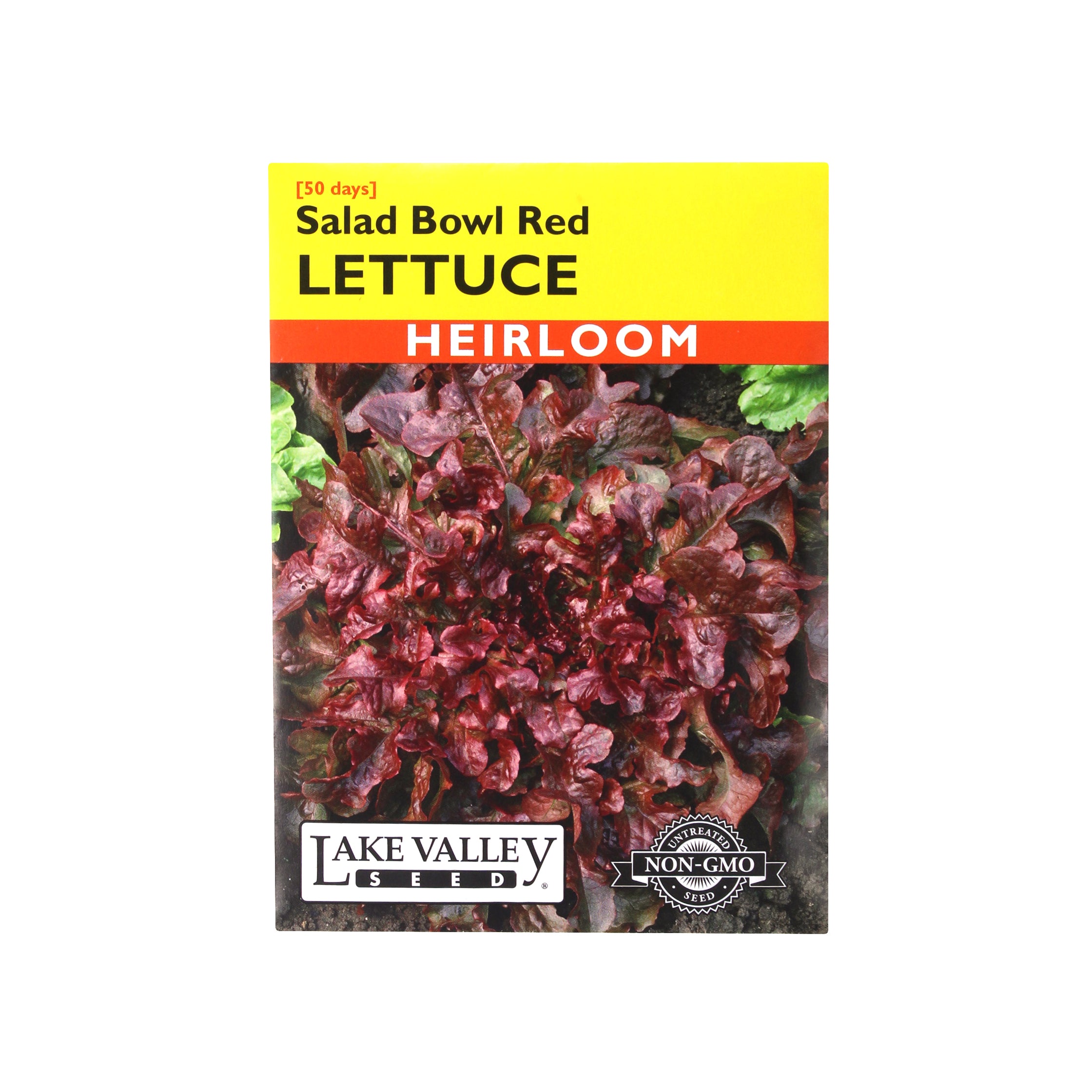 Lake Valley Seed Lettuce Salad Bowl Red Heirloom Vegetable Seeds, 1.5g