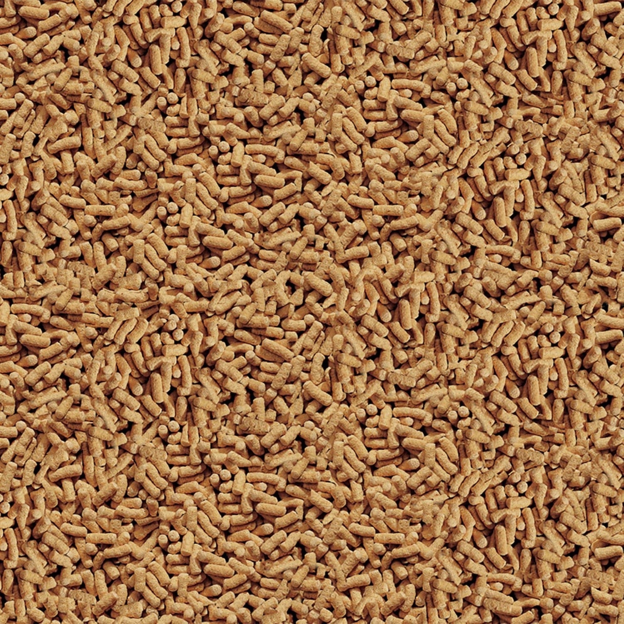 TetraPond Pond Sticks Healthy Nutrition for Goldfish and Koi, 6.6 LB