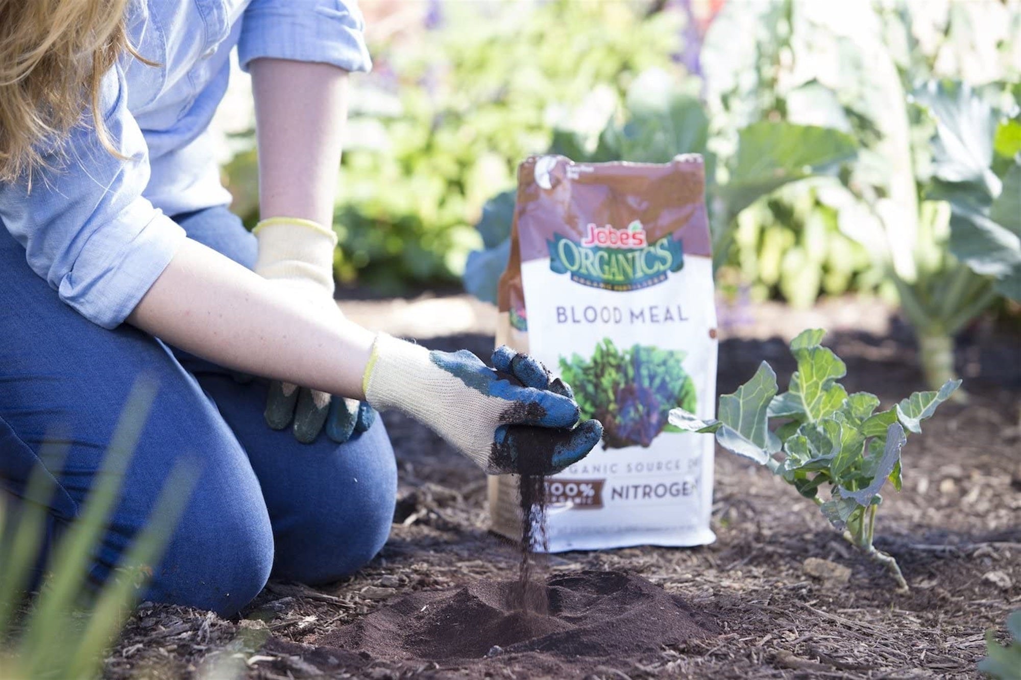 Jobe's Organics Blood Meal Soil Amendment, 3 lb