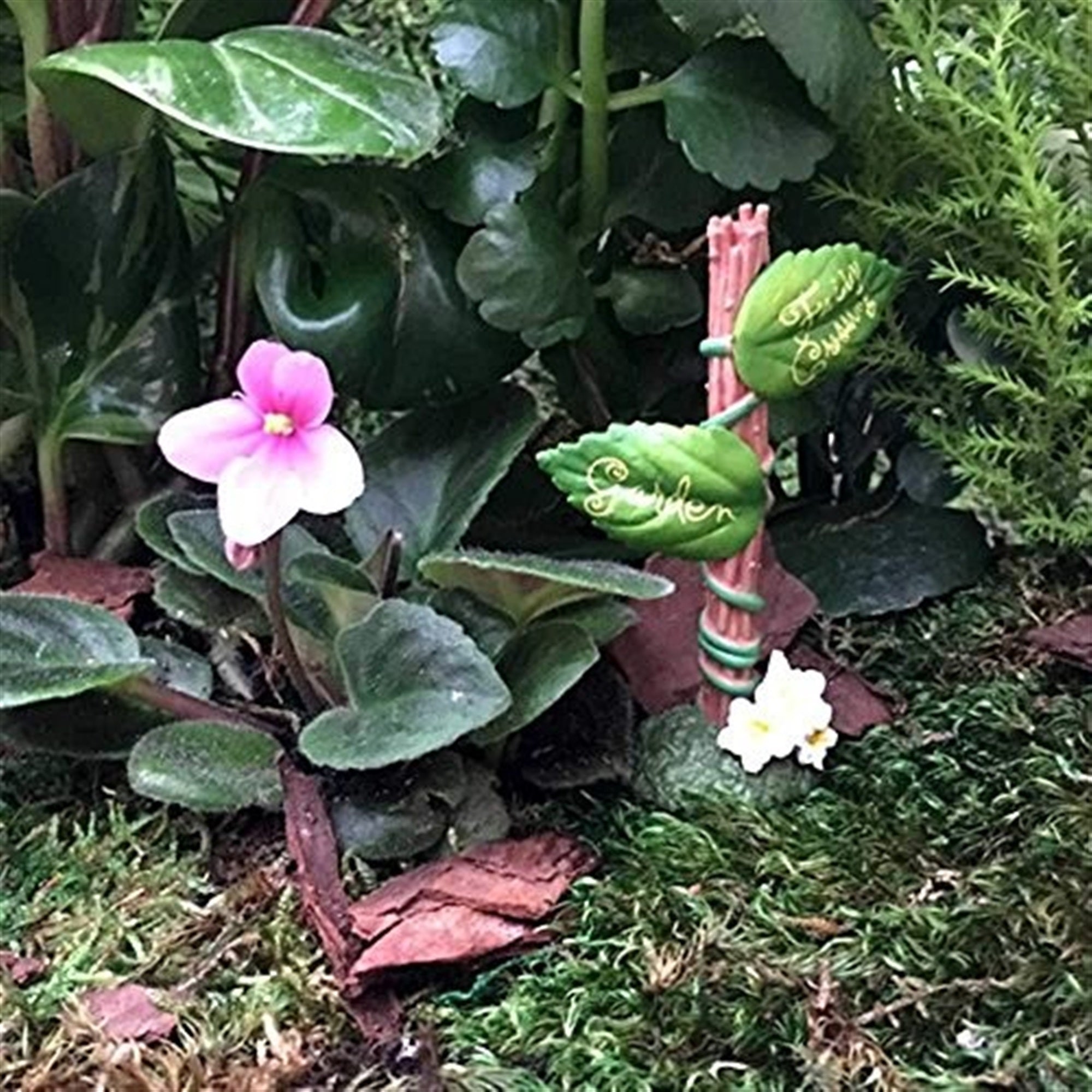 Flower Fairies Secret Garden, Fairy Crossing Sign