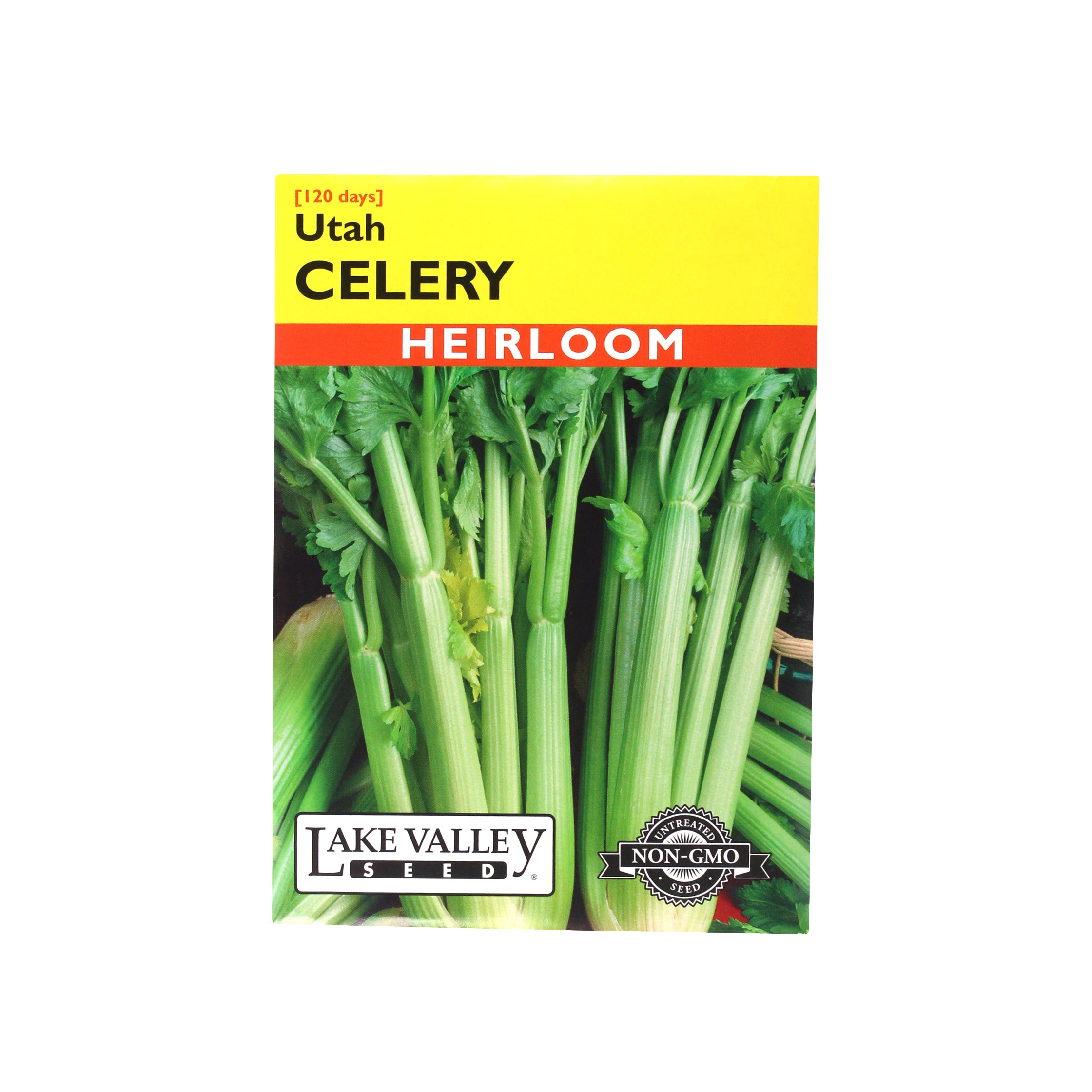 Celery Utah