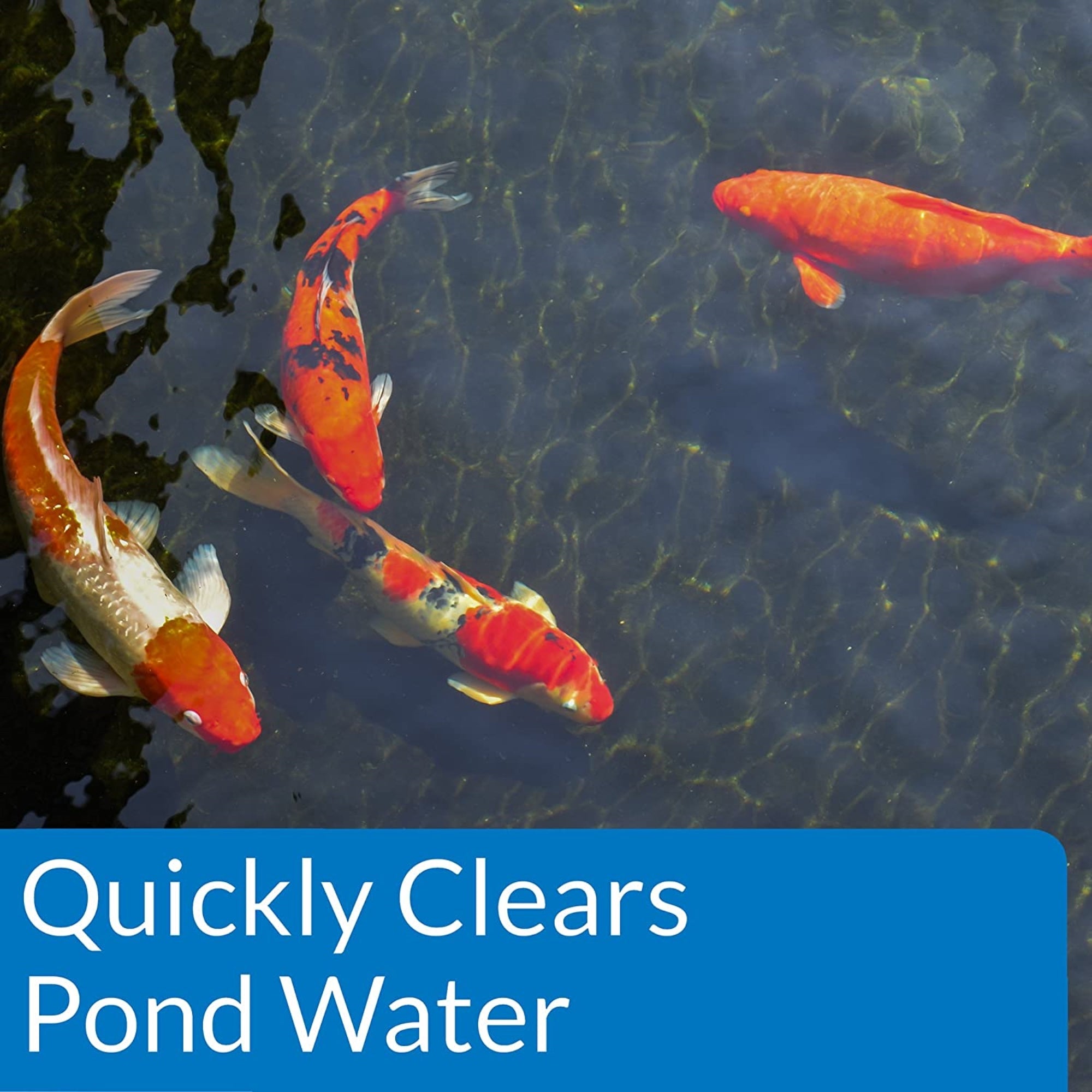 API POND ACCU-CLEAR Pond Water Clarifier, 32-Ounce