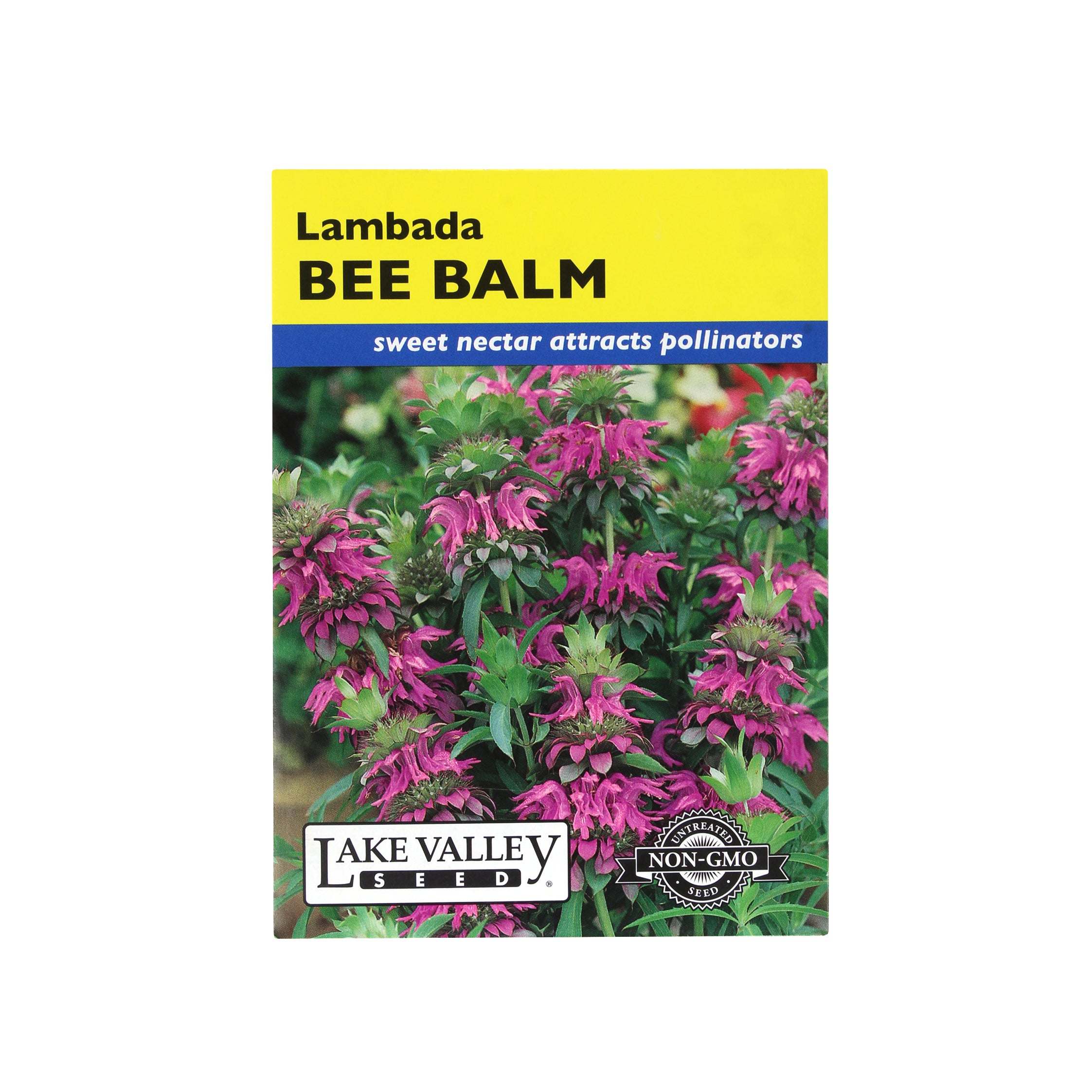 Lake Valley Seed: Bee Balm Lambada Flower