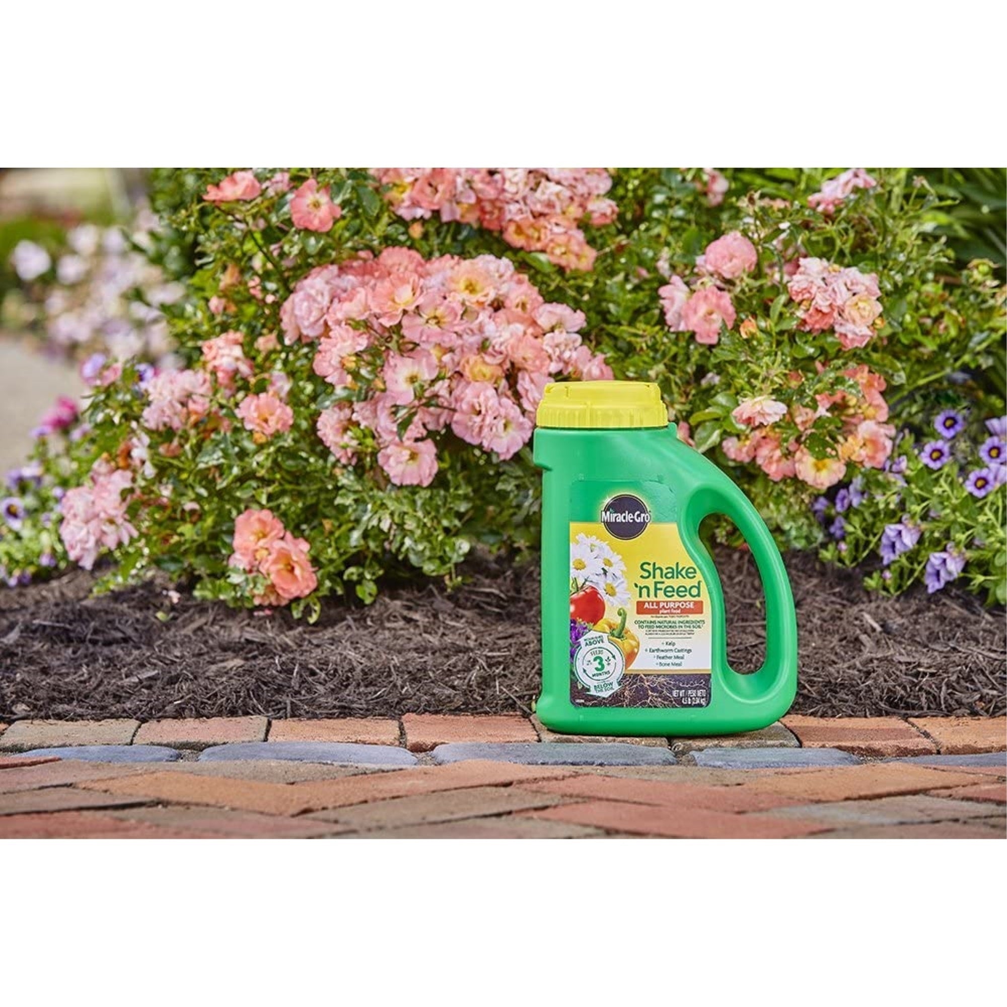 Scotts Miracle-Gro Shake-n-Feed Granulated All Purpose Plant Food, 4.5lb