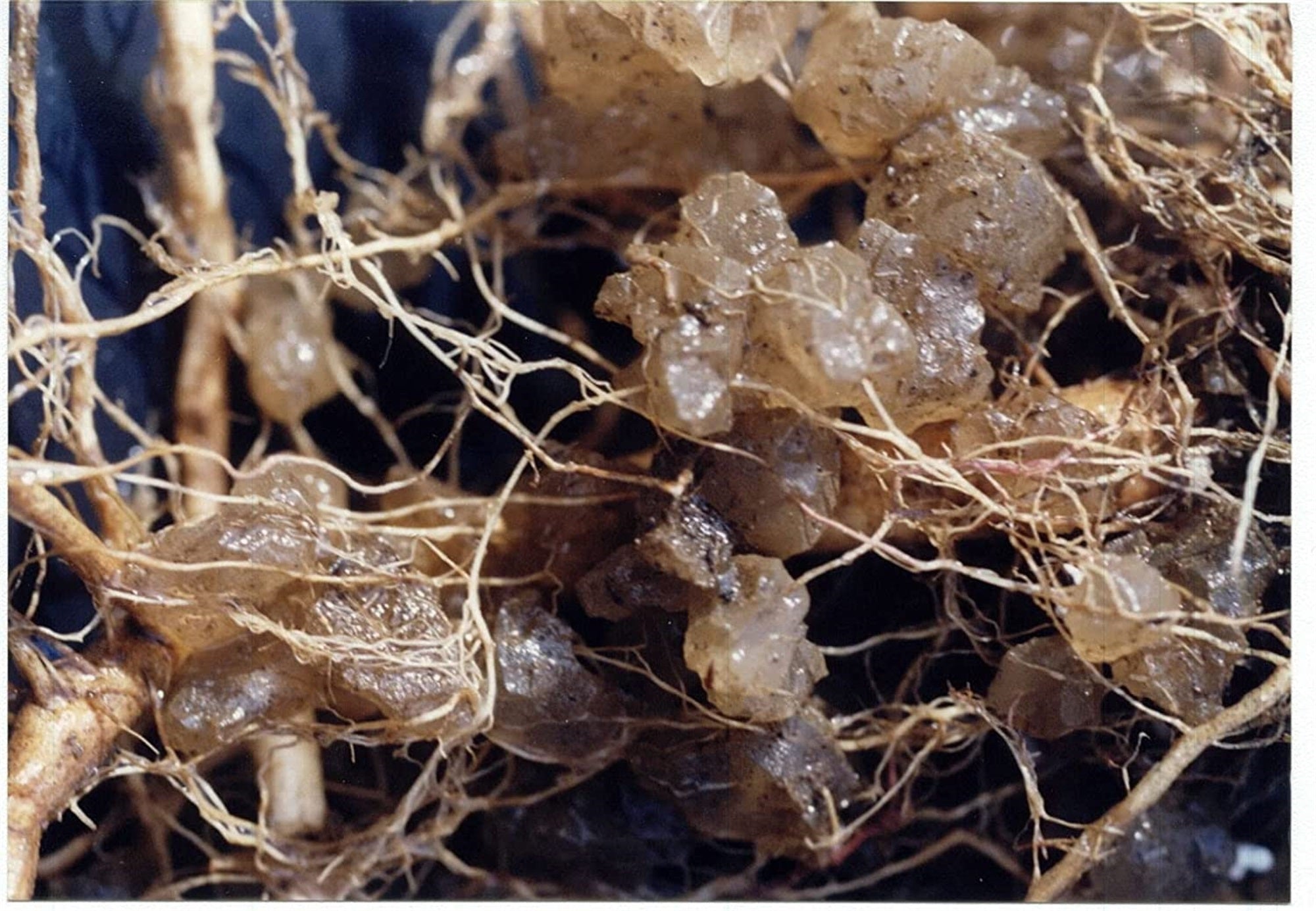 JRM Chemical Soil Moist Granules, 3 Lb