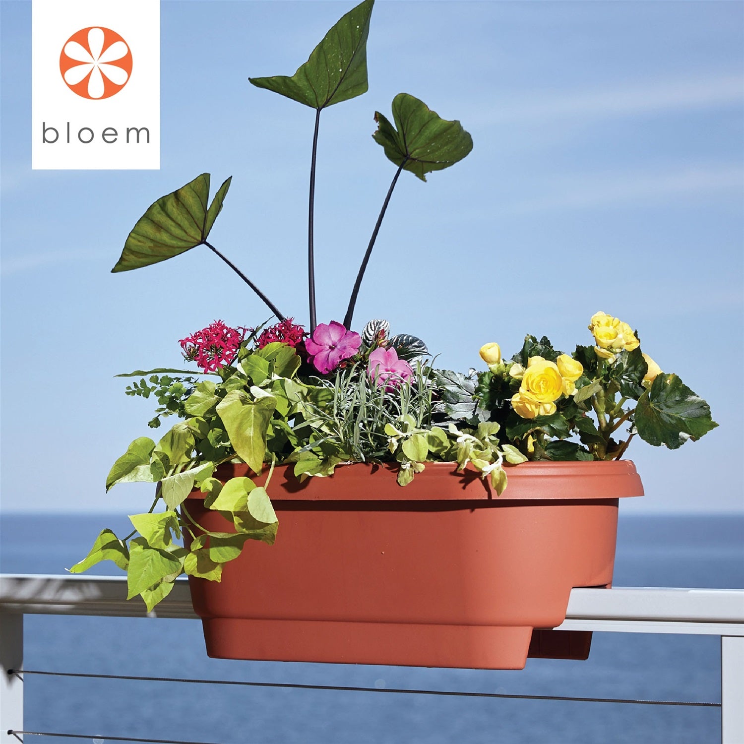 Bloem Classic Oval Deck Rail Planter, Terra Cotta Color 24"