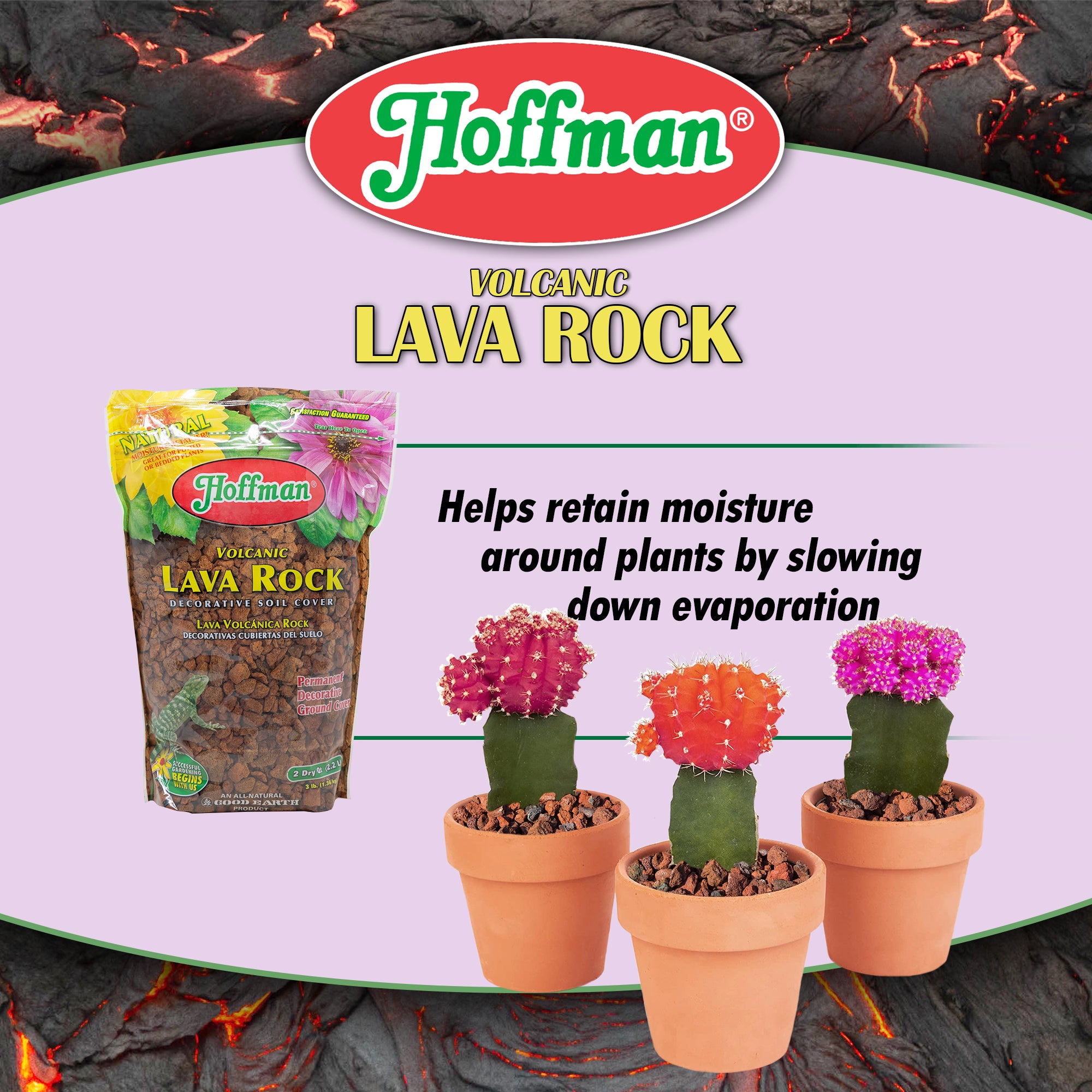 Hoffman Volcanic Lava Rock Soil Cover, 2 Quart Bag