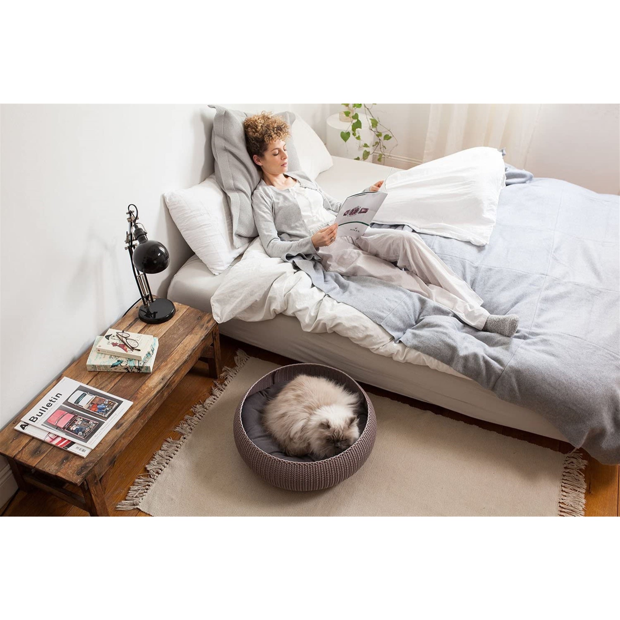 Keter by Curver Knit Cozy Resin Plastic Pet Bed, Cat Bed & Dog Bed with Cushion, Small Dogs to Medium Cats, Sandy Beige
