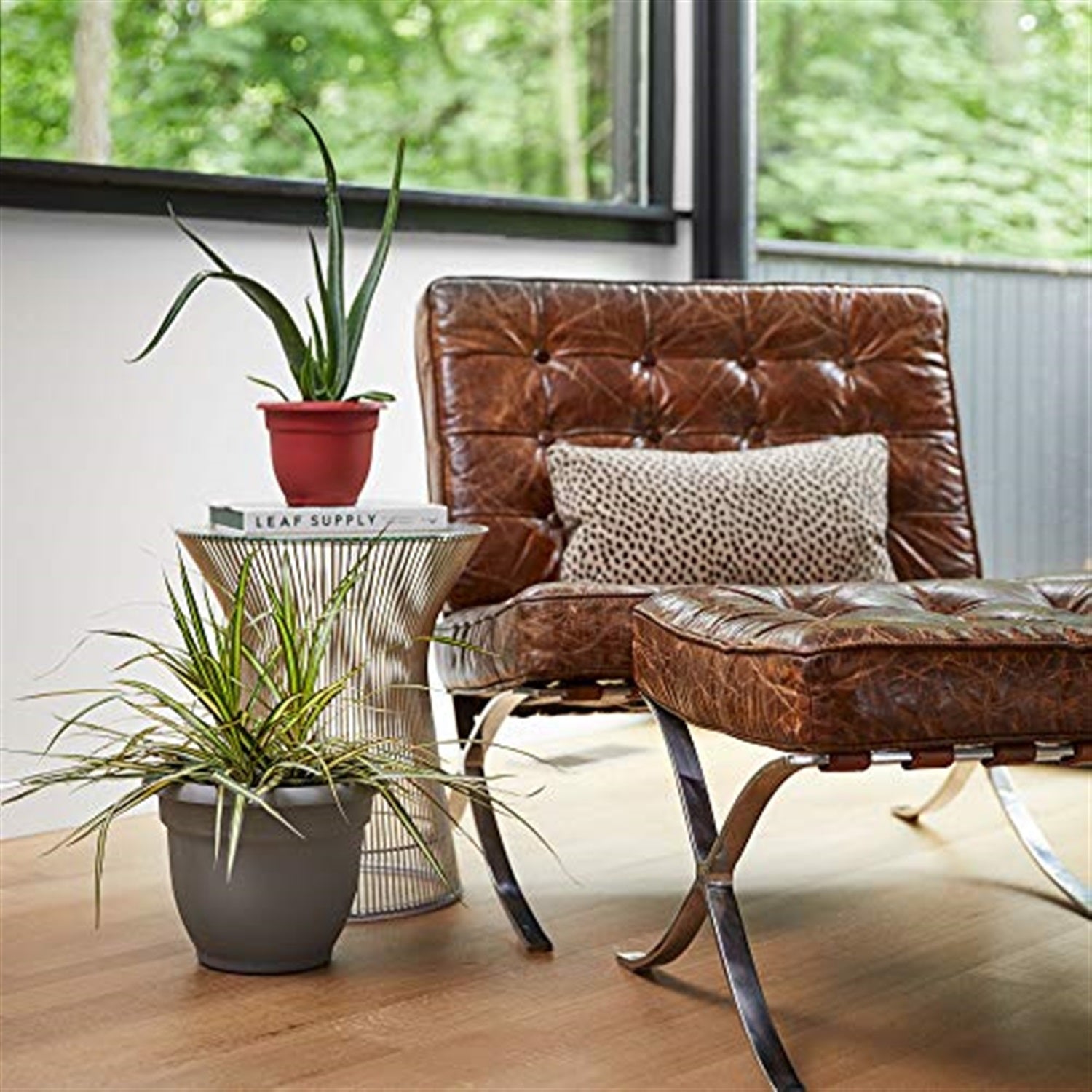Bloem Ariana Plastic Flower Planter with Self-Watering Disk