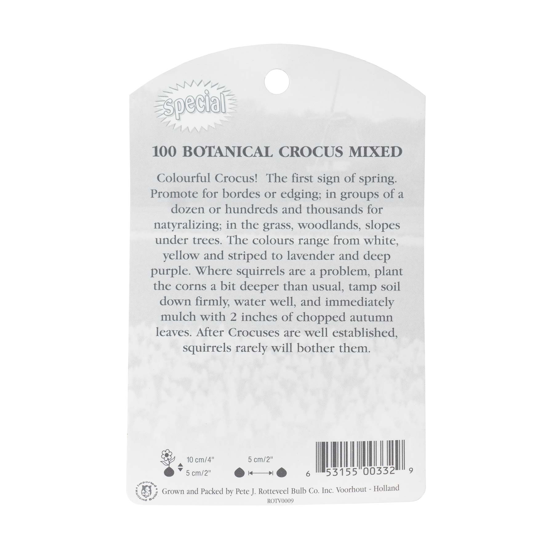 Rotteveel Bulb Company Crocus Botanical Mixed Flower Bulbs (100/Pack)